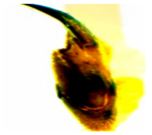 Agriculture 15 00675 i003