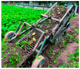 Agriculture 15 00675 i029