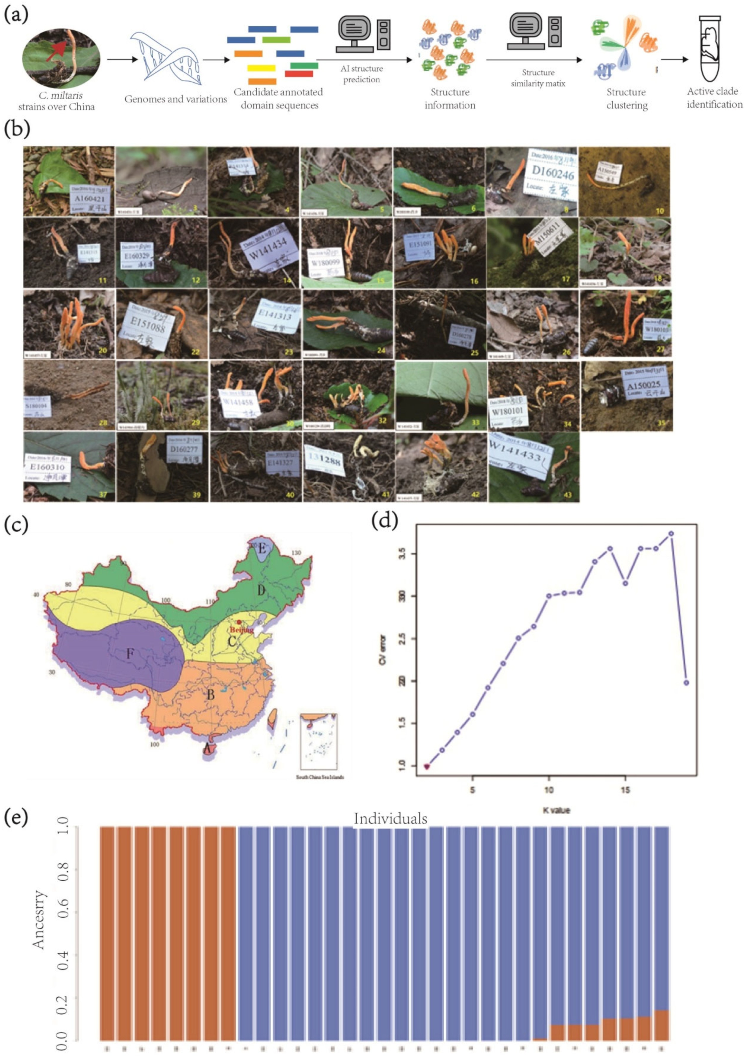 Agriculture 15 00686 g001