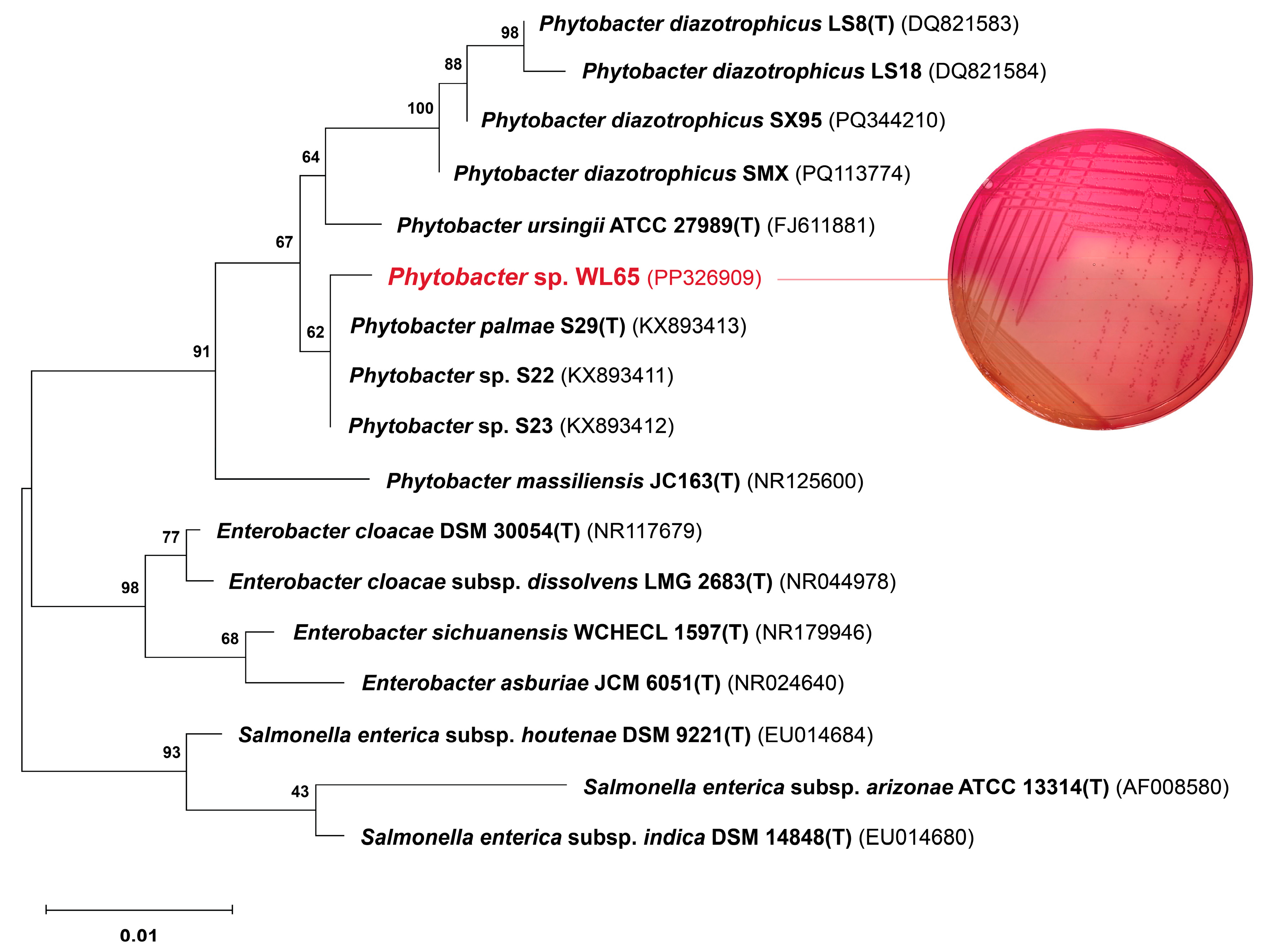 Agriculture 15 00707 g001