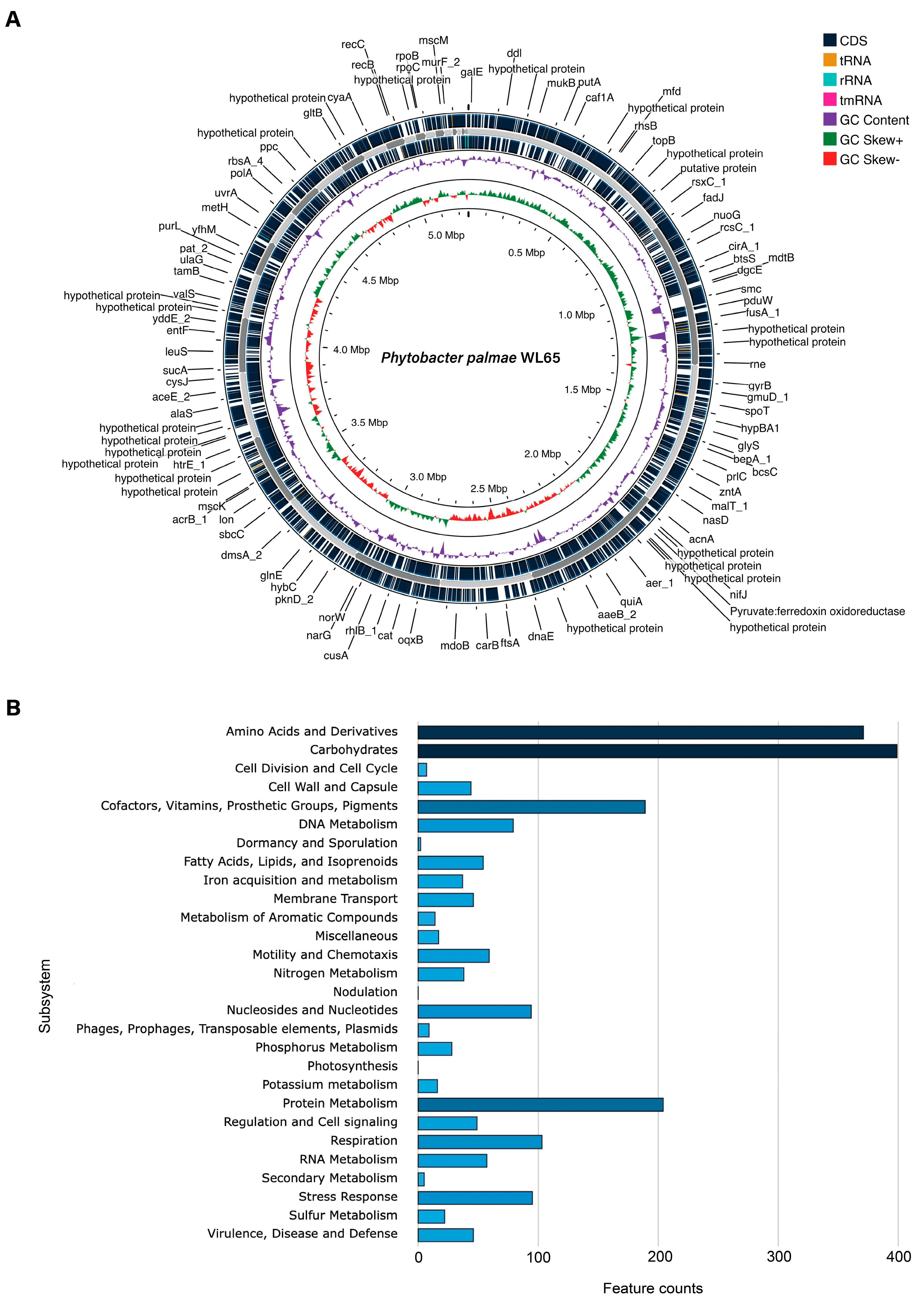 Agriculture 15 00707 g002