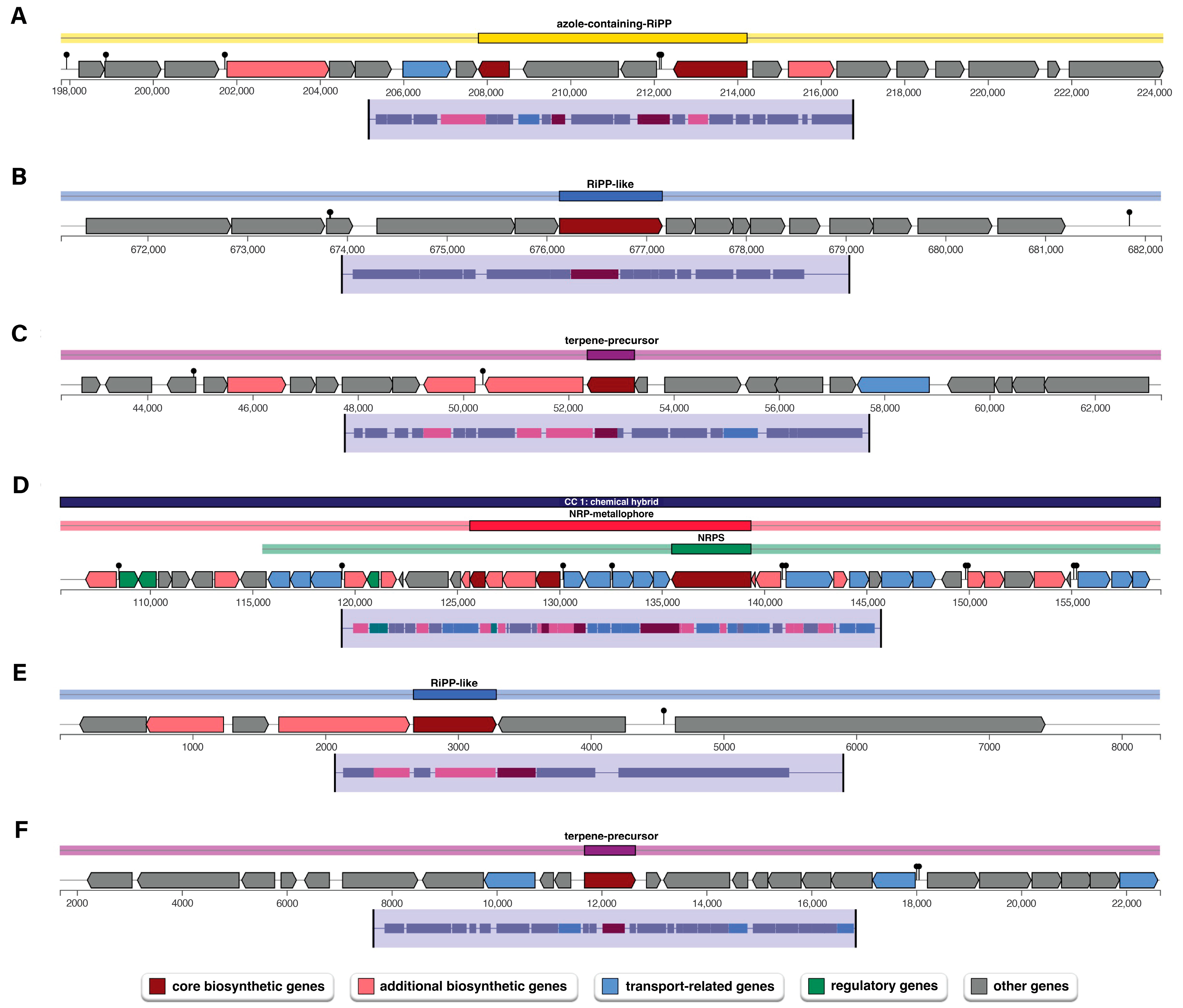 Agriculture 15 00707 g005