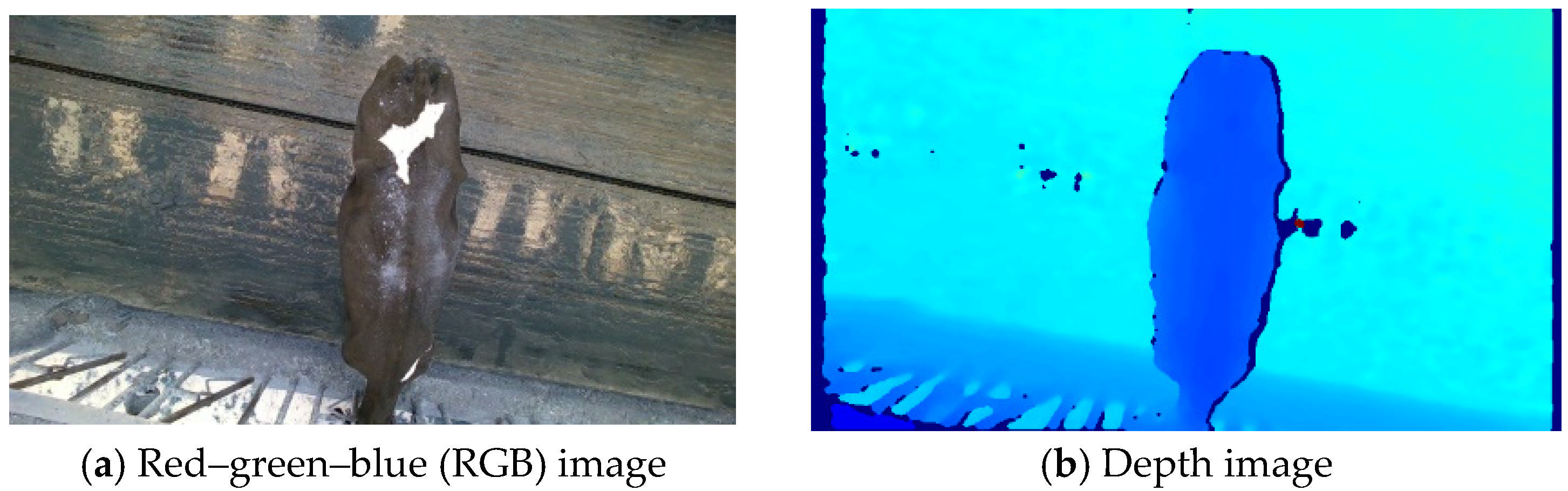 Agriculture 15 00710 g002