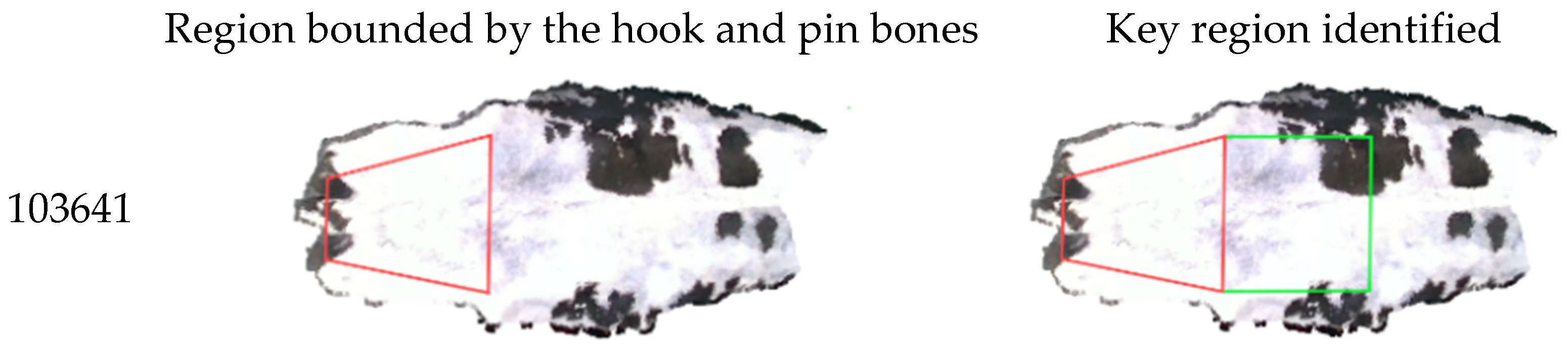 Agriculture 15 00710 g018a