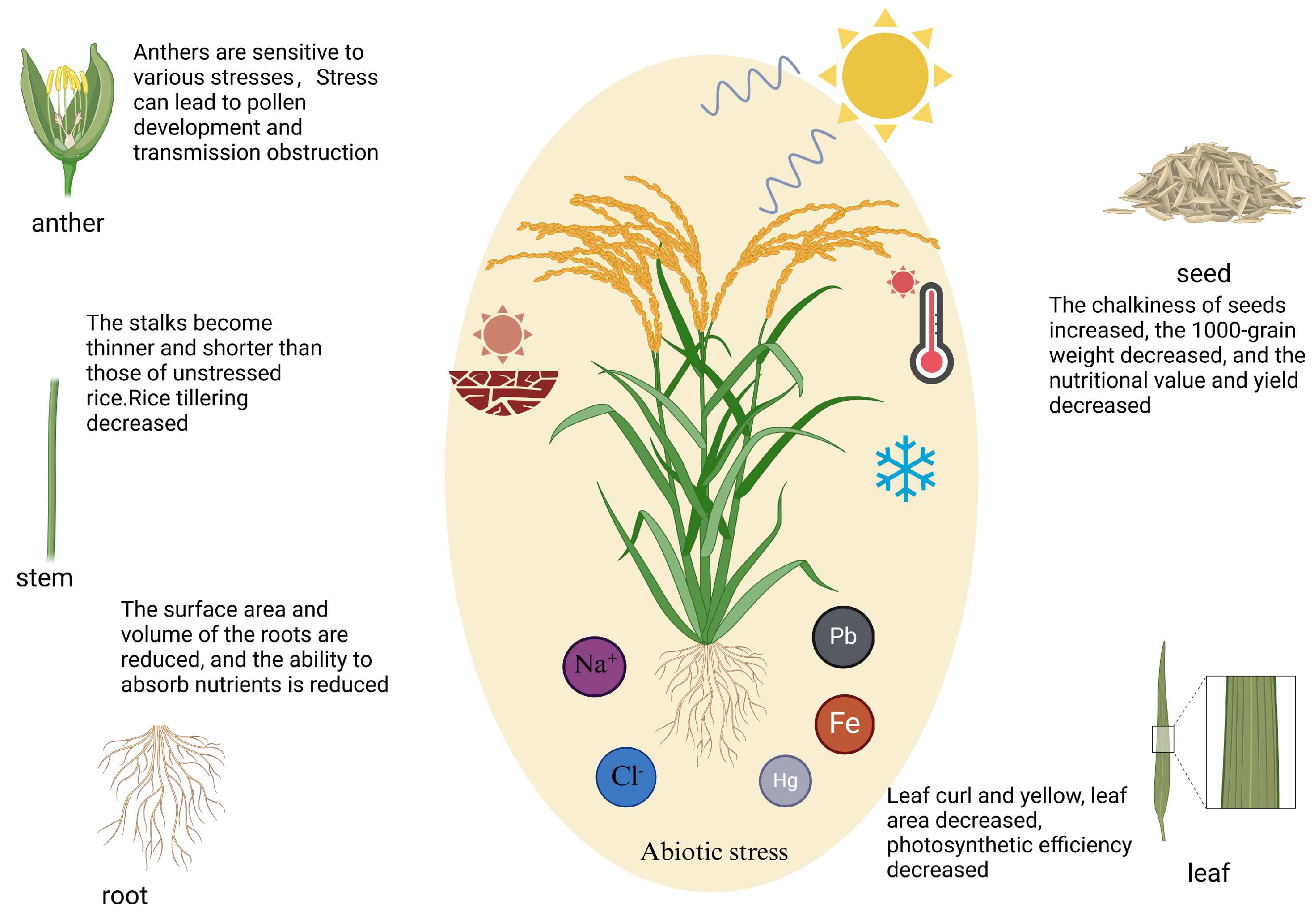 Agriculture 15 00721 g001