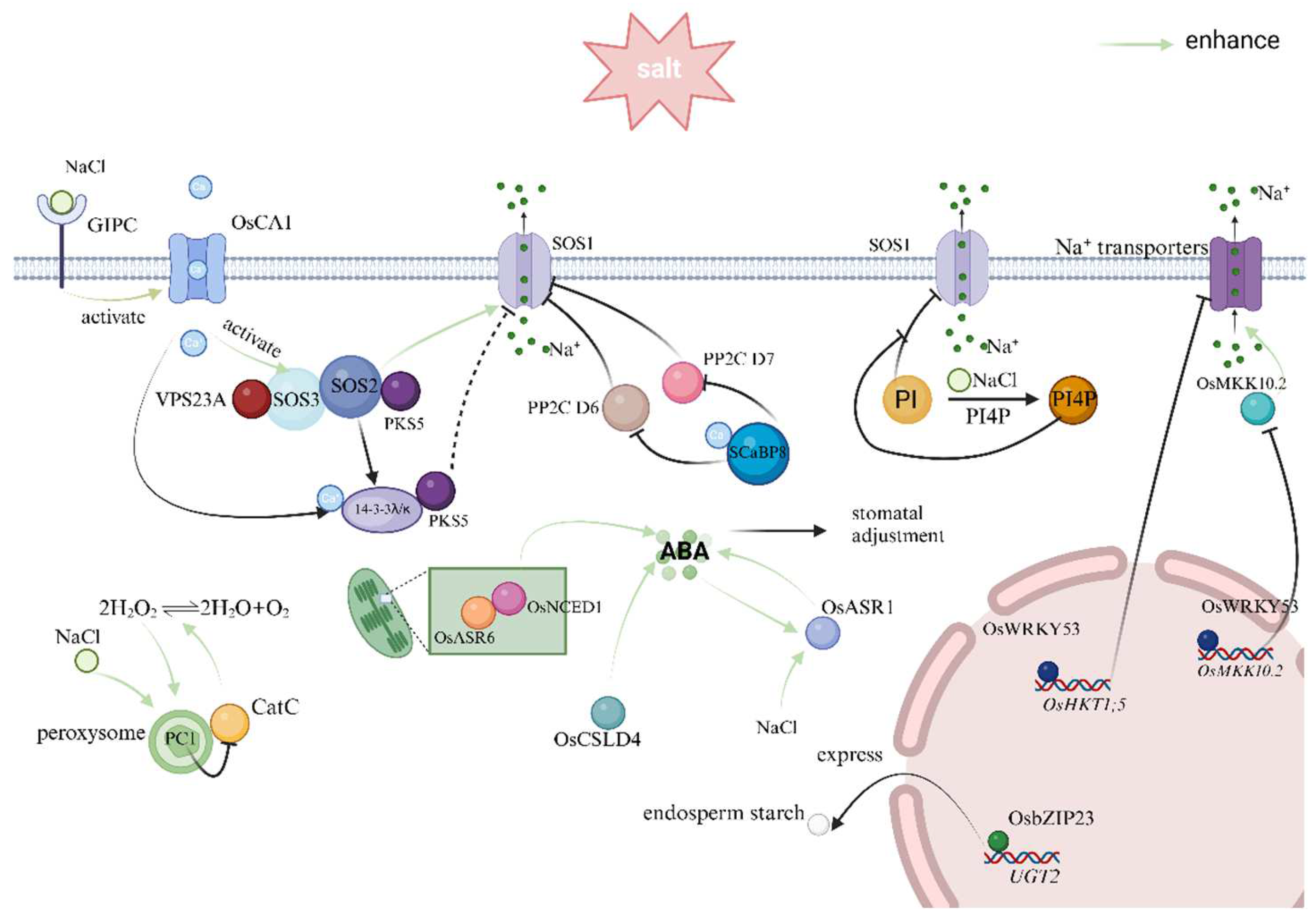 Agriculture 15 00721 g004