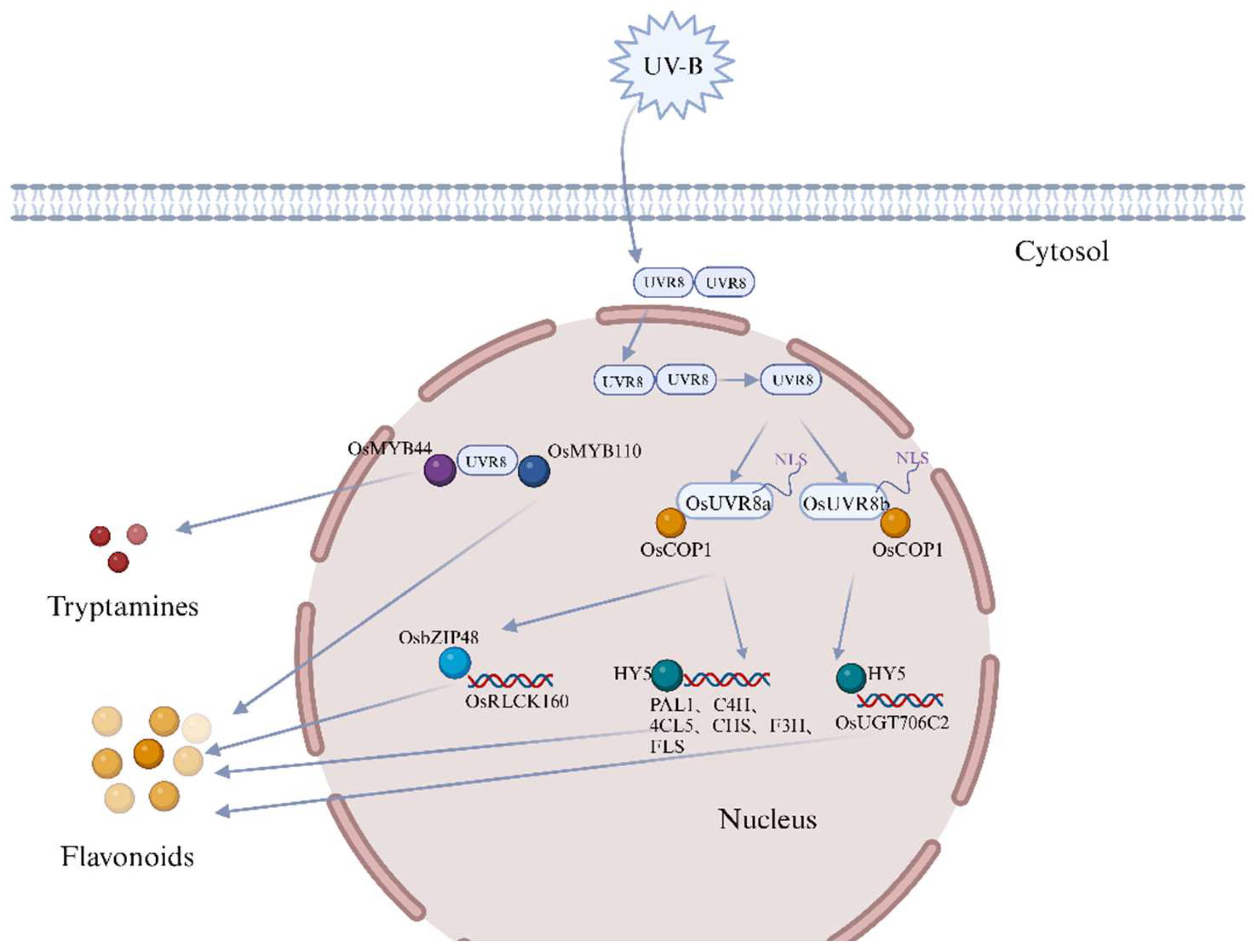 Agriculture 15 00721 g006