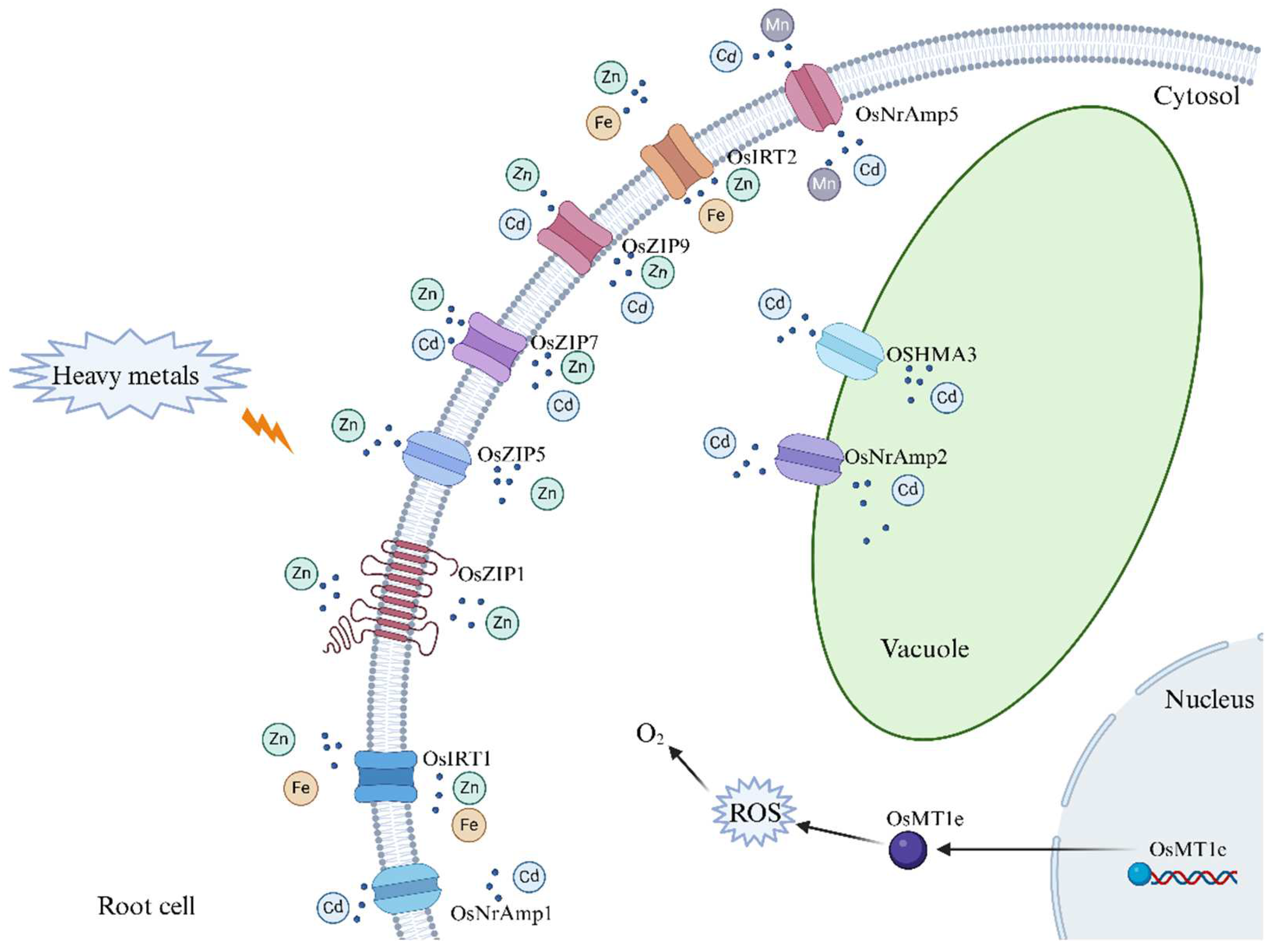 Agriculture 15 00721 g007