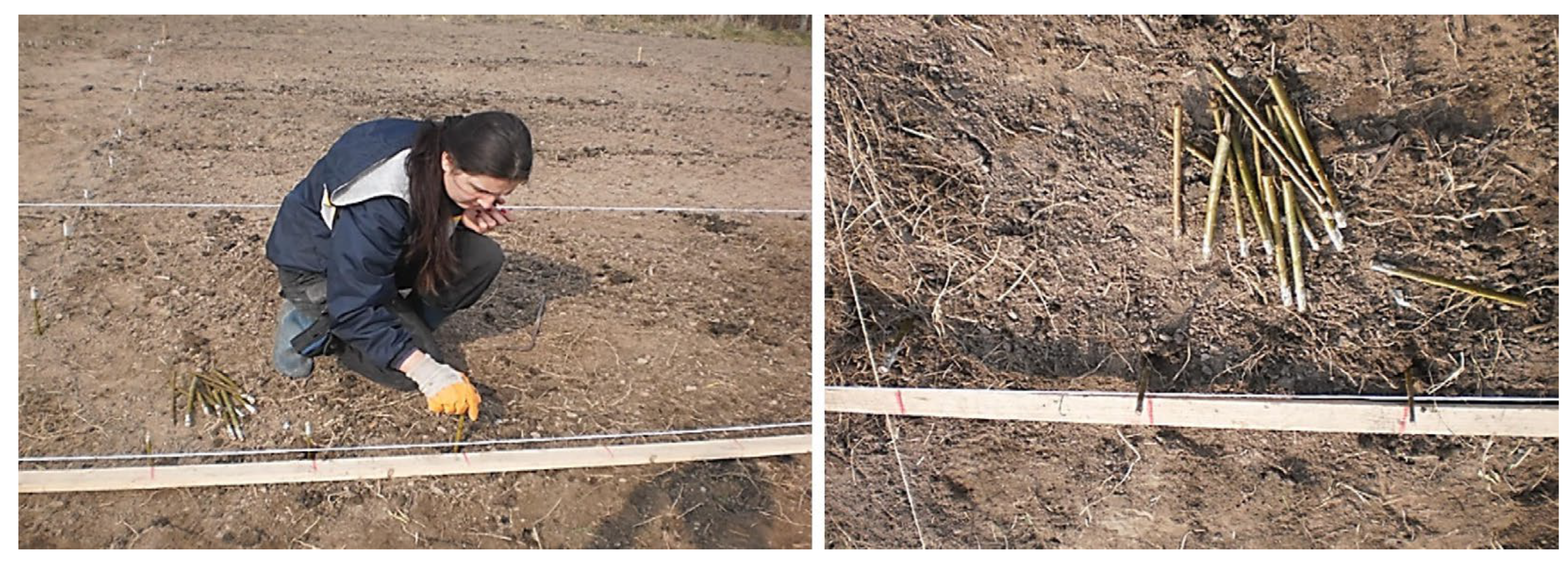 Agriculture 15 00727 g001