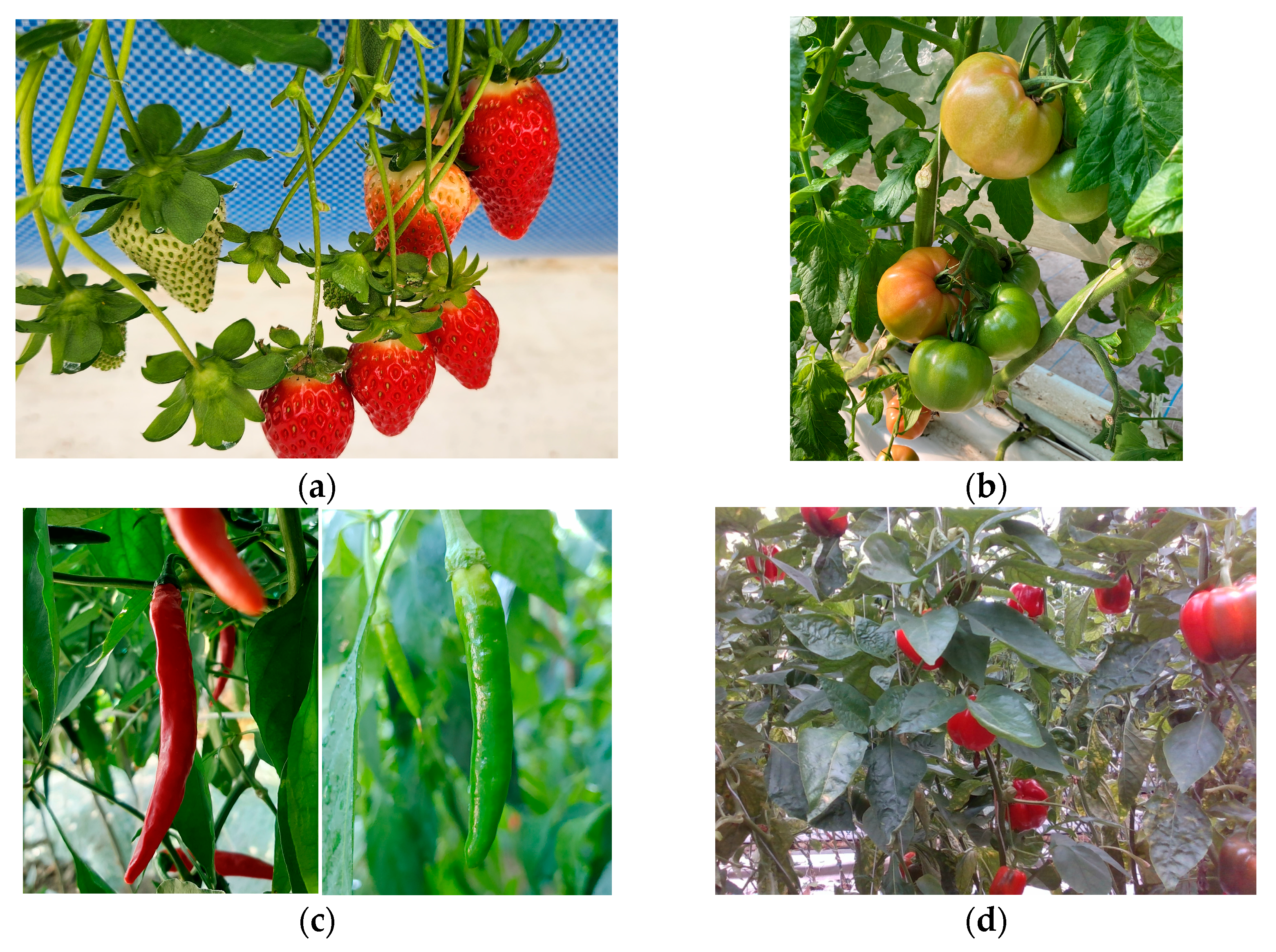 Agriculture 15 00731 g002