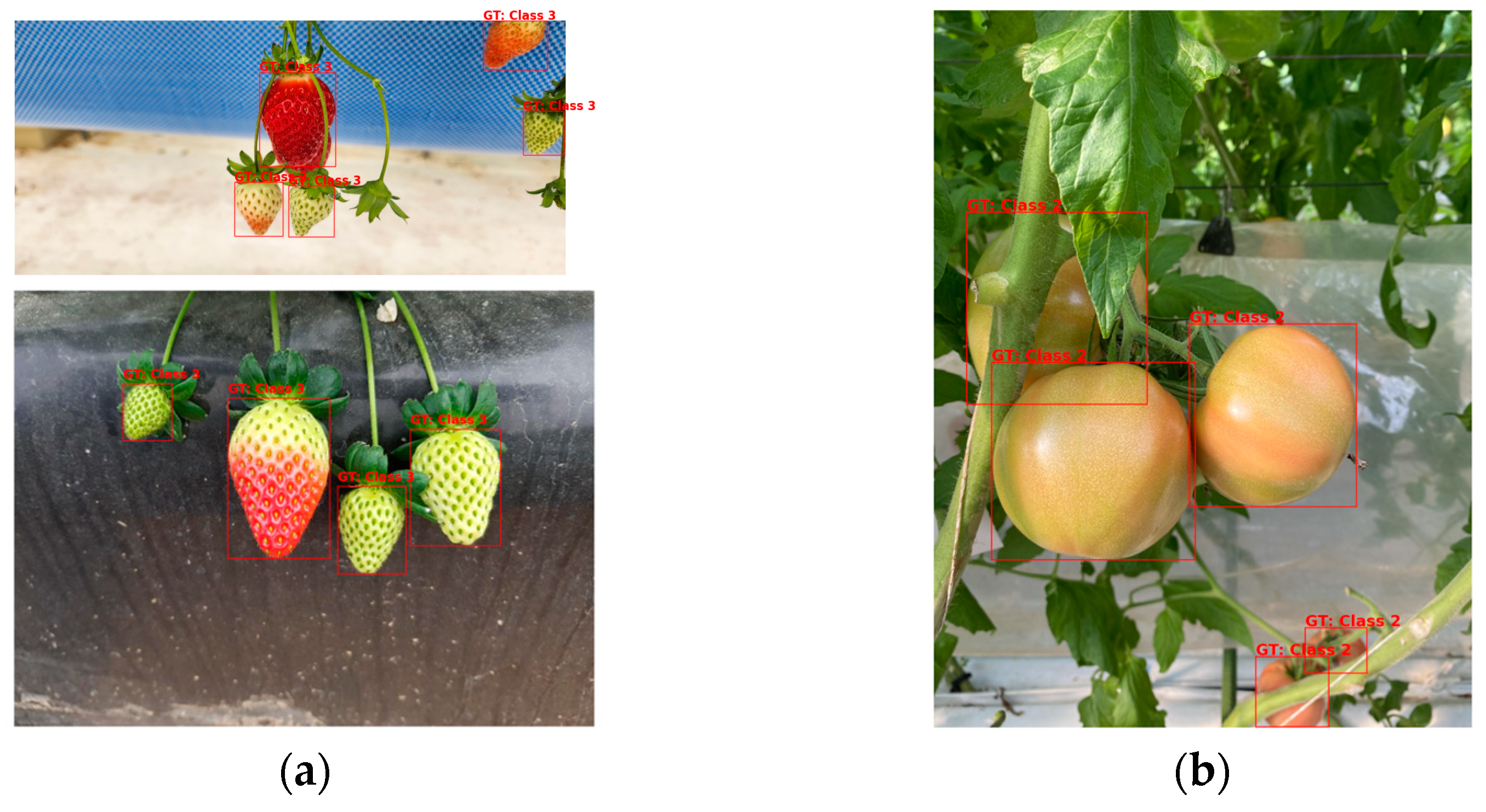 Agriculture 15 00731 g003a