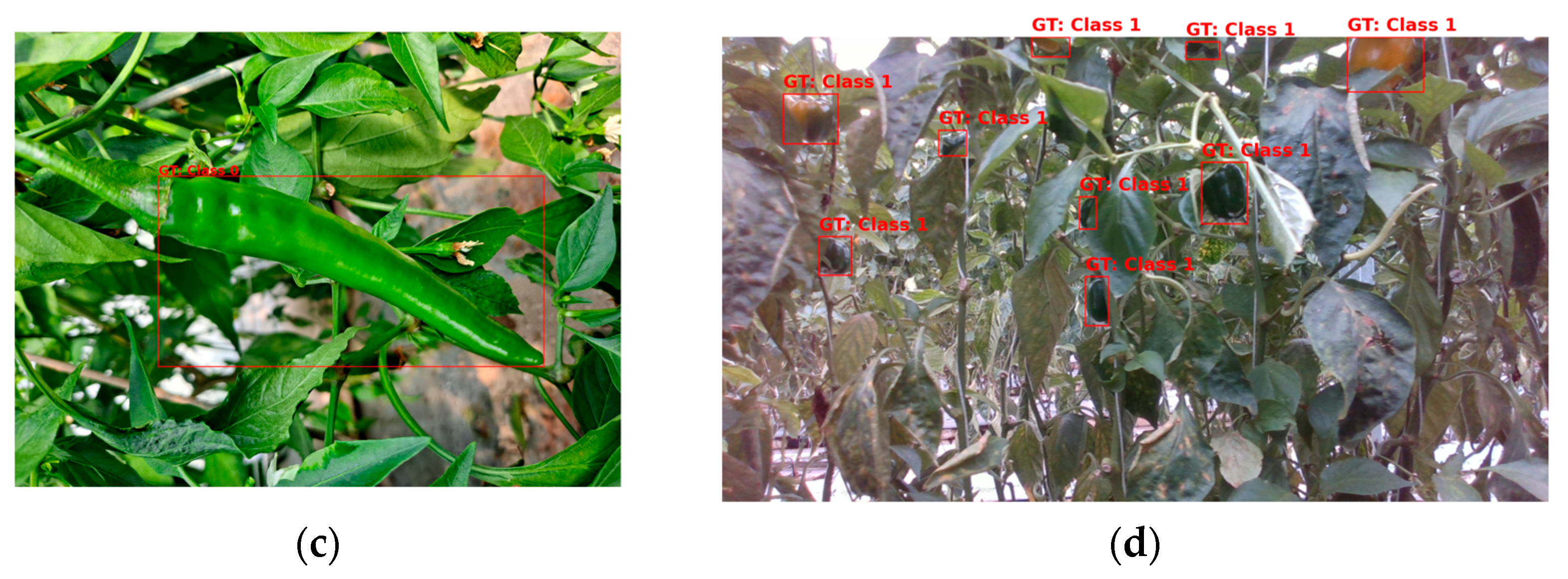 Agriculture 15 00731 g003b