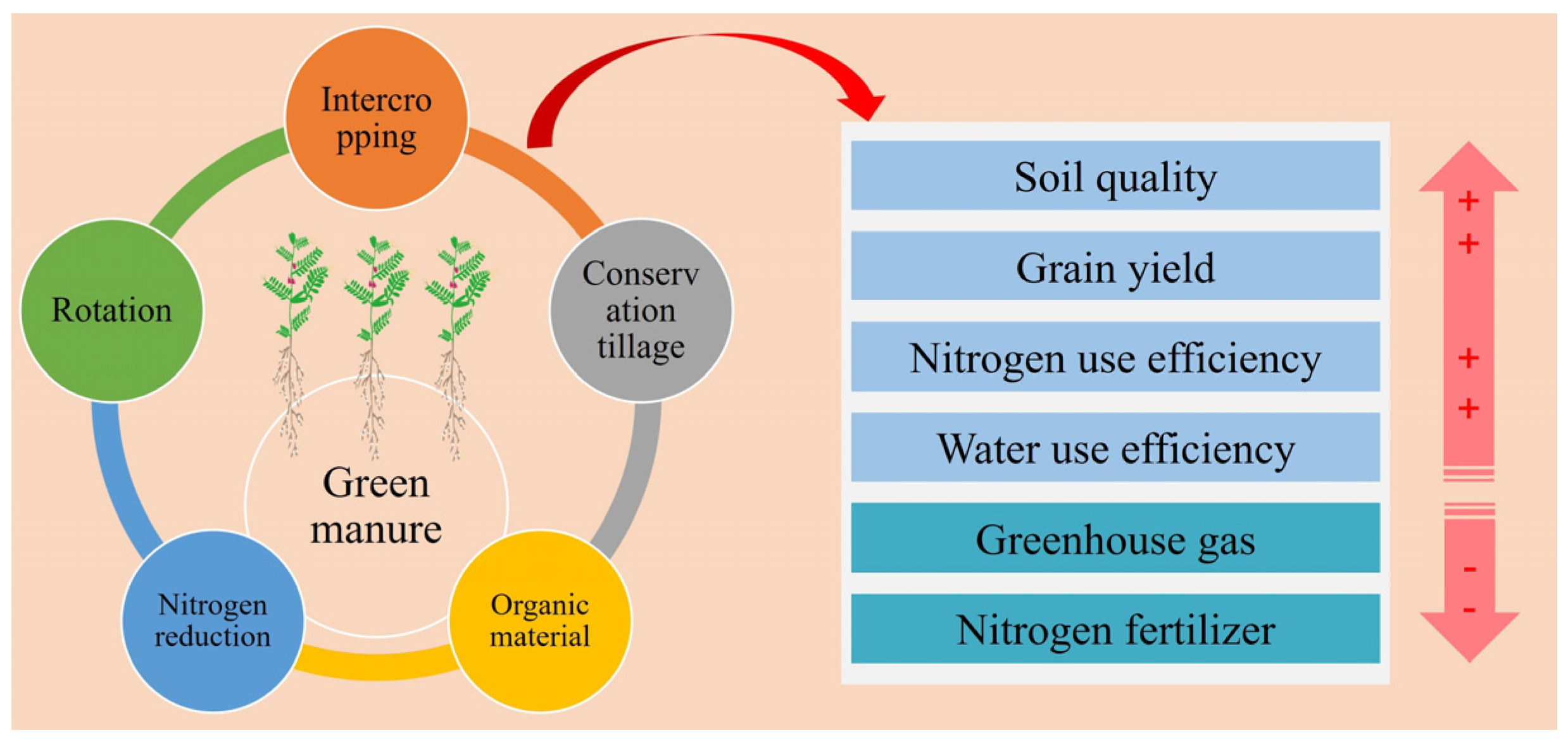 Research Progress on the Improvement of Farmland Soil Quality by Green ...