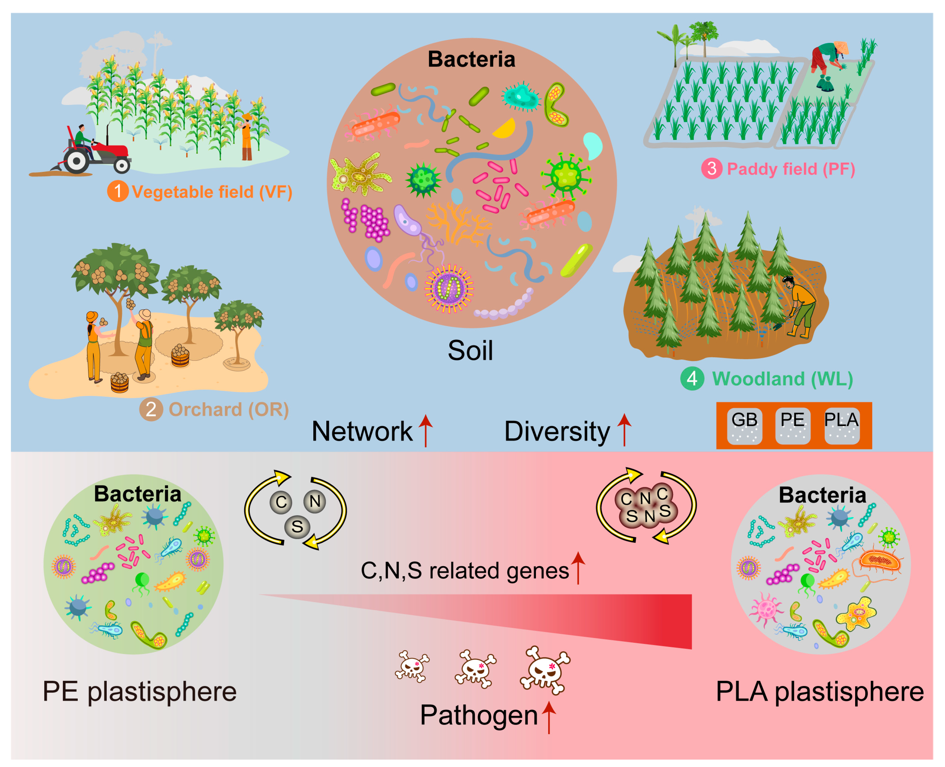 Land Use Rather than Microplastic Type Determines the Diversity and ...