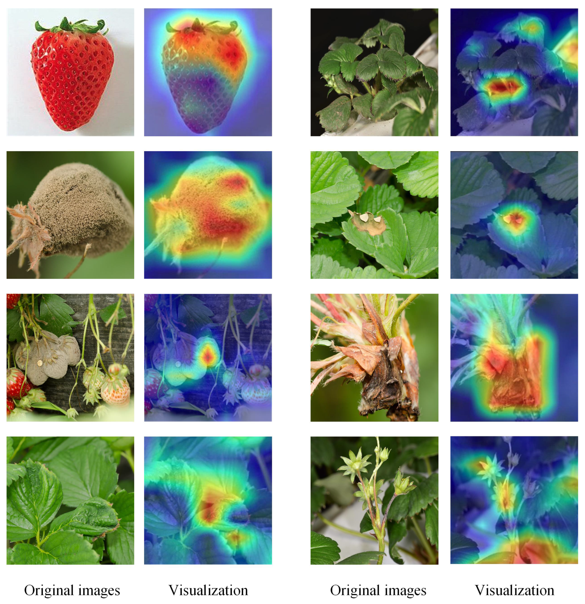 Agriculture 15 00779 g007