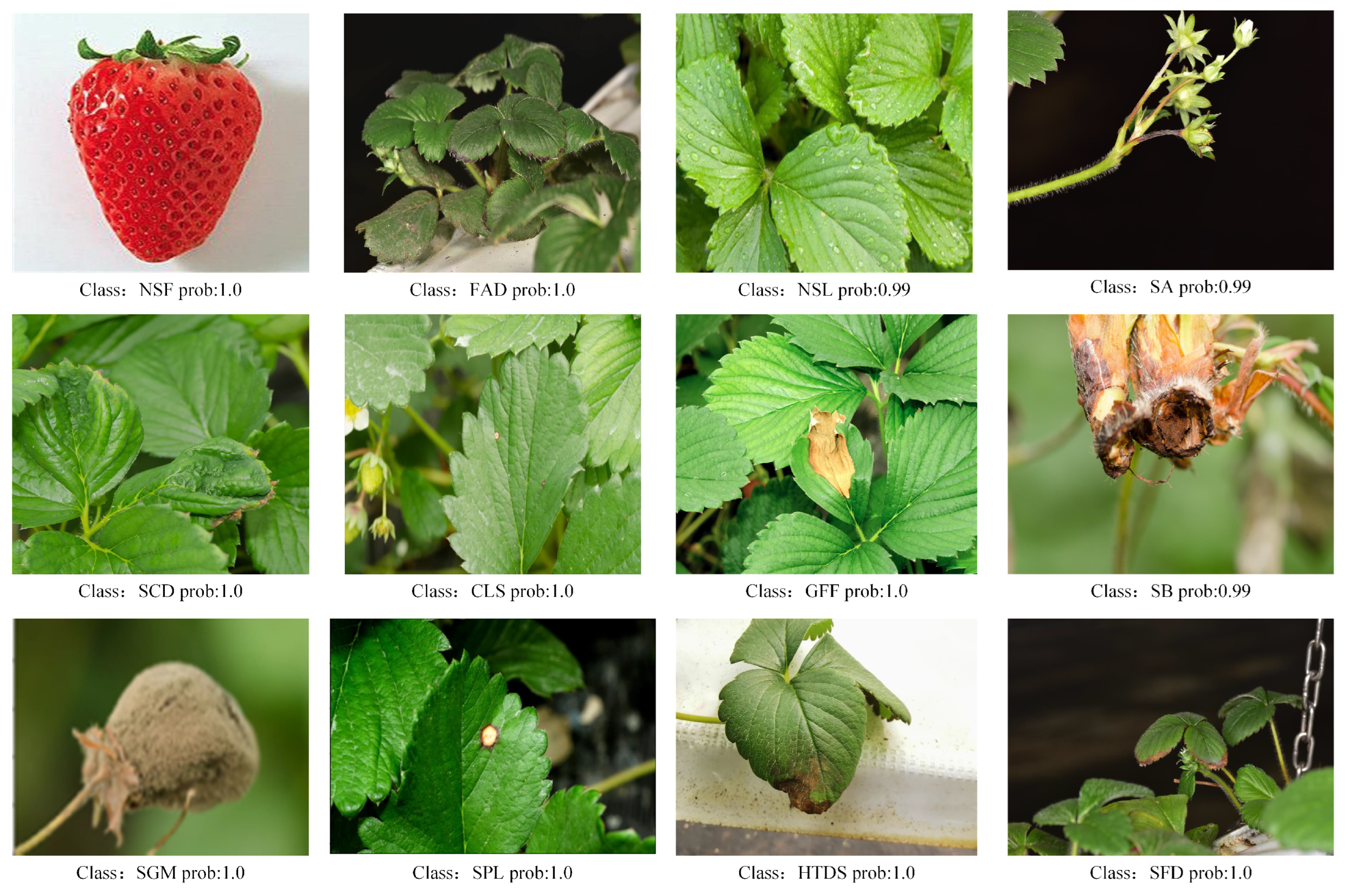 Agriculture 15 00779 g008