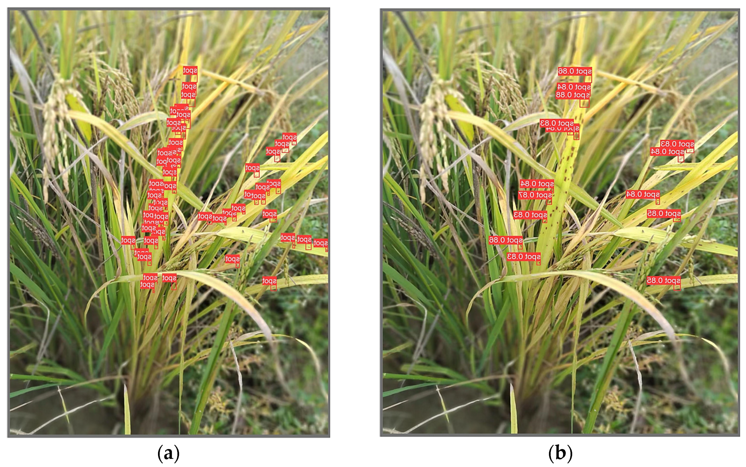 Agriculture 15 00790 g008