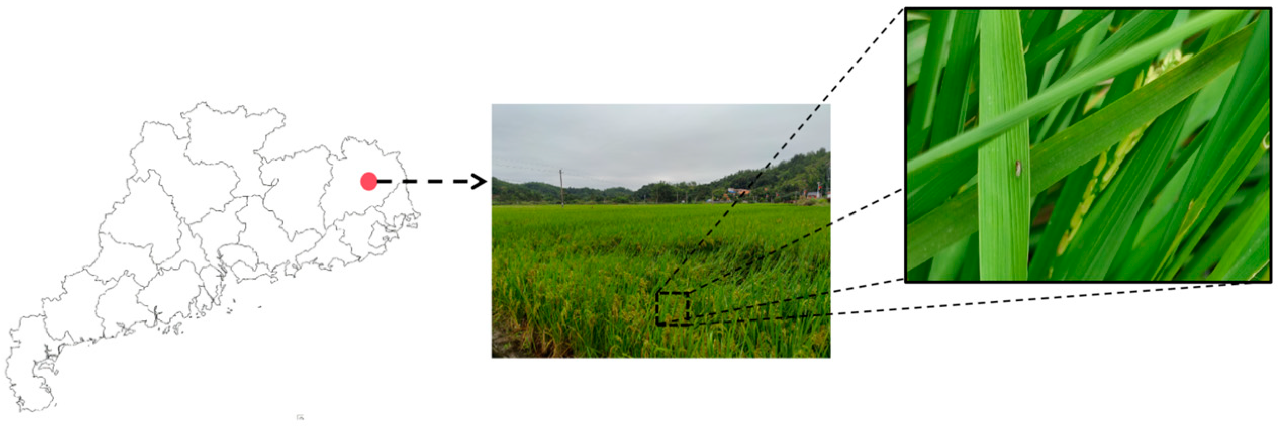 Agriculture 15 00798 g011