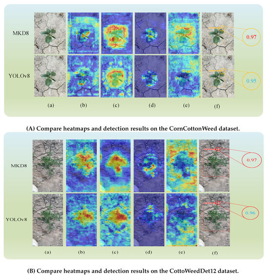 Agriculture 15 00807 g0a2