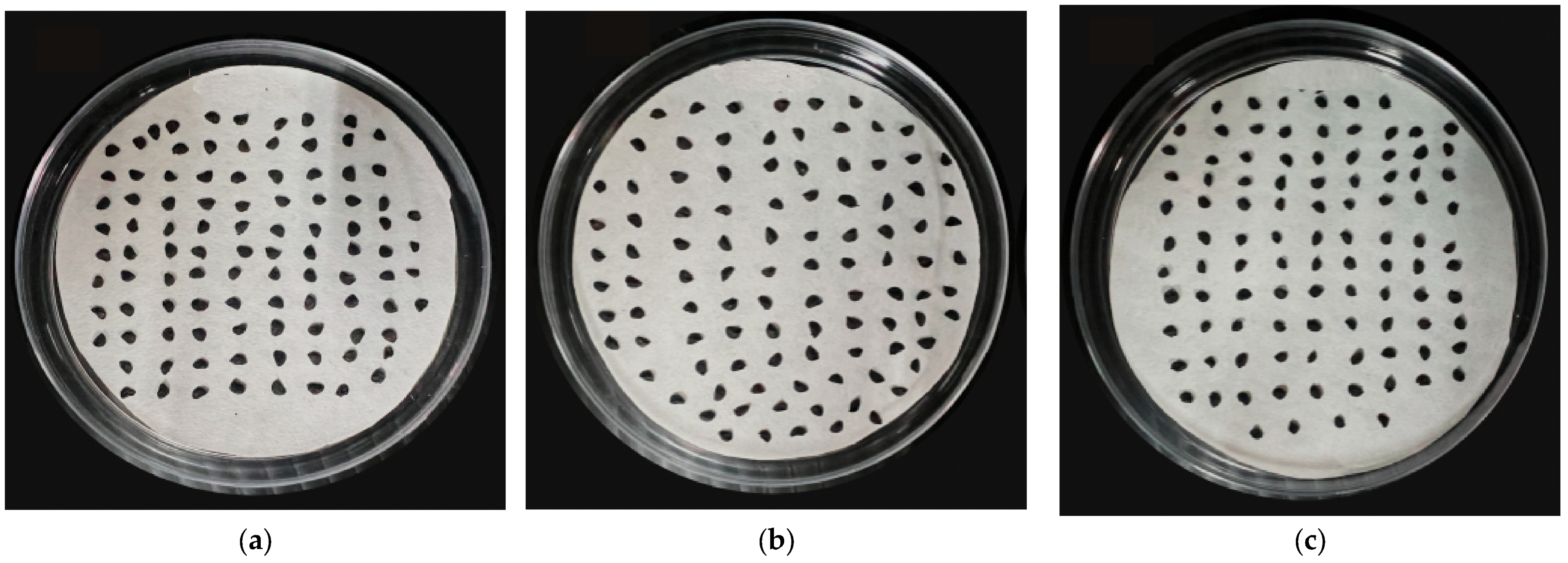 Agriculture 15 00816 g001
