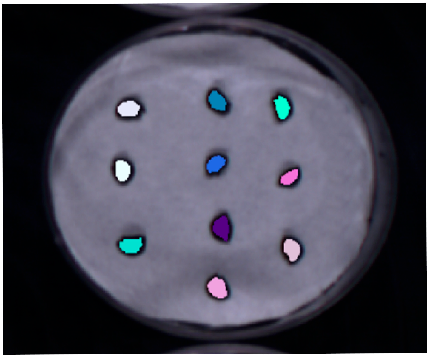 Agriculture 15 00816 g002