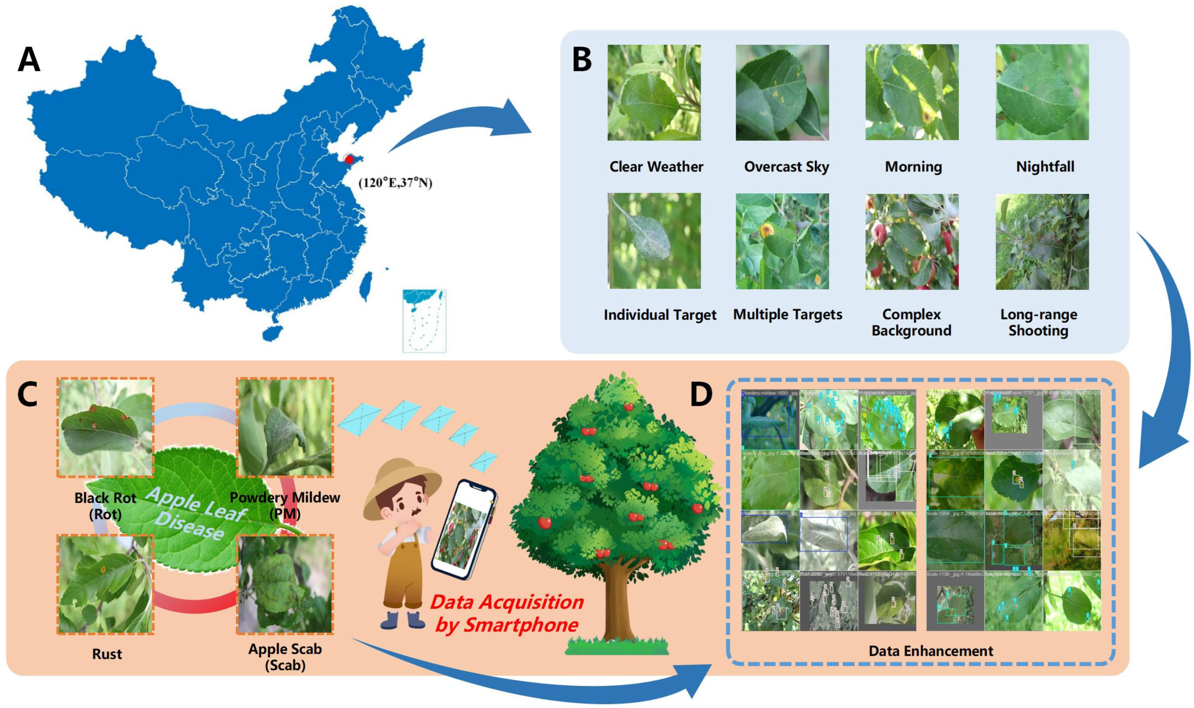 Agriculture 15 00833 g001