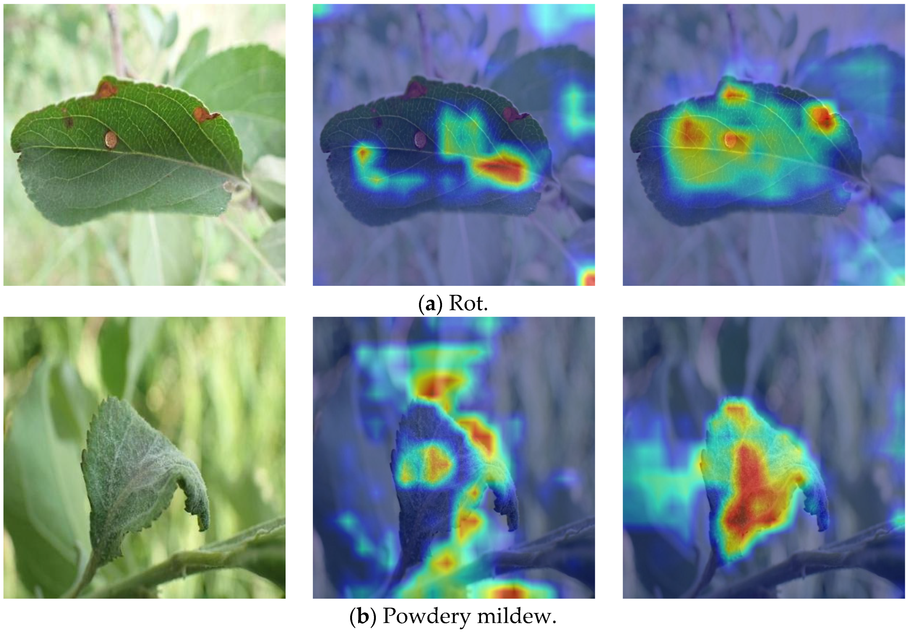 Agriculture 15 00833 g007a