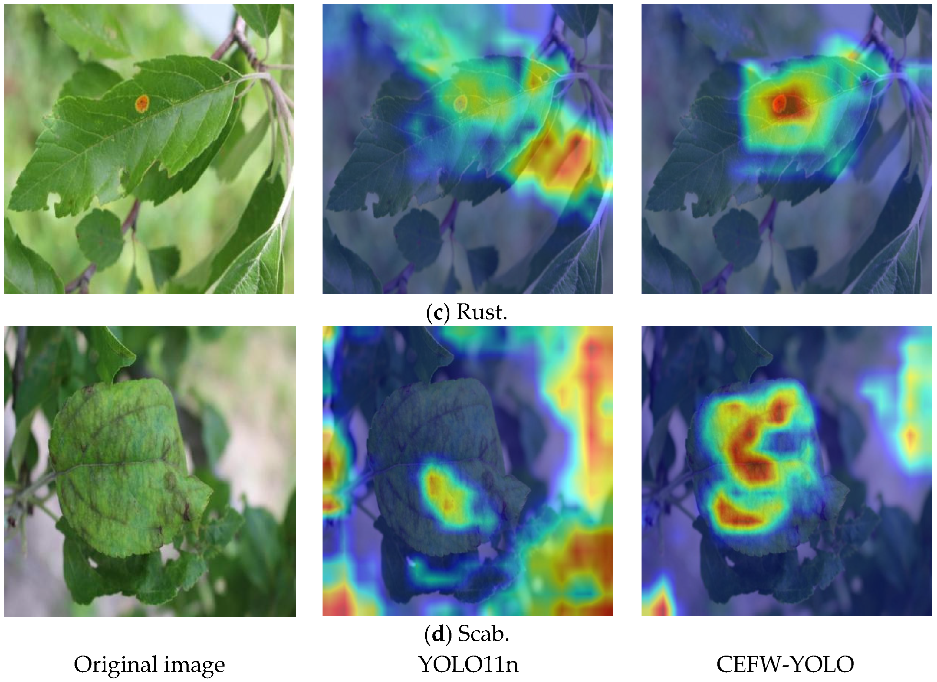 Agriculture 15 00833 g007b