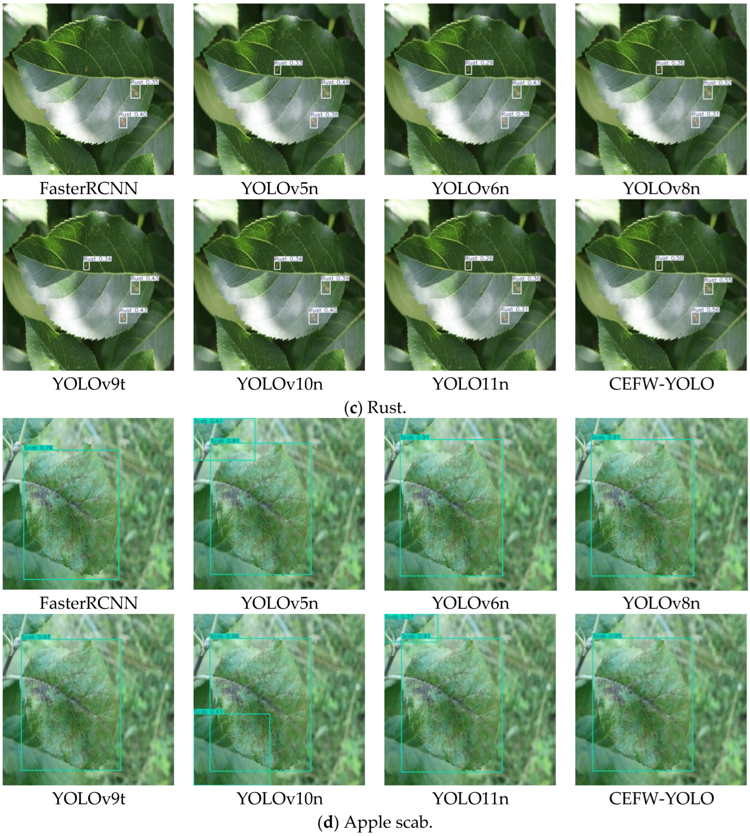 Agriculture 15 00833 g009b