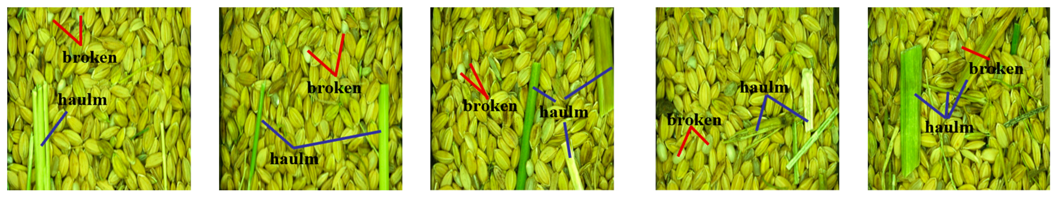 Agriculture 15 00848 g002