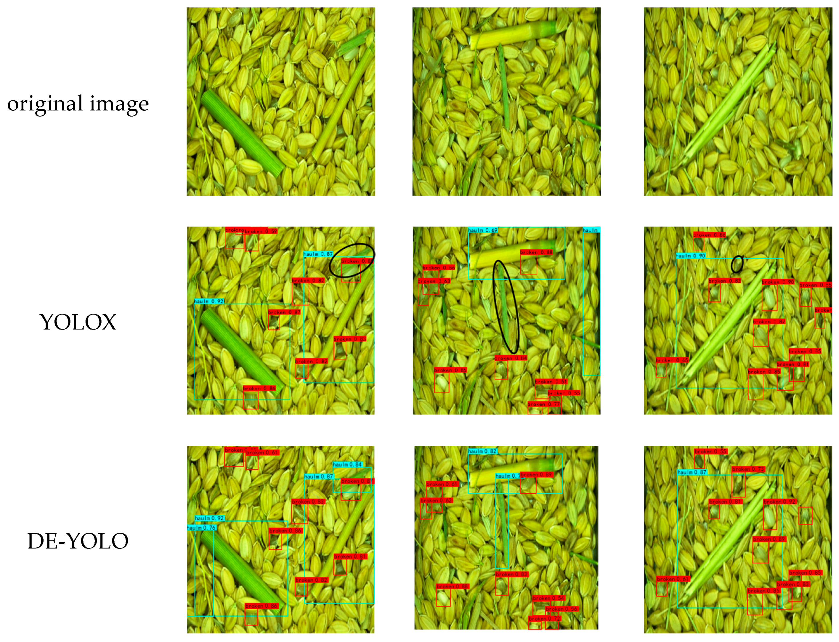 Agriculture 15 00848 g006