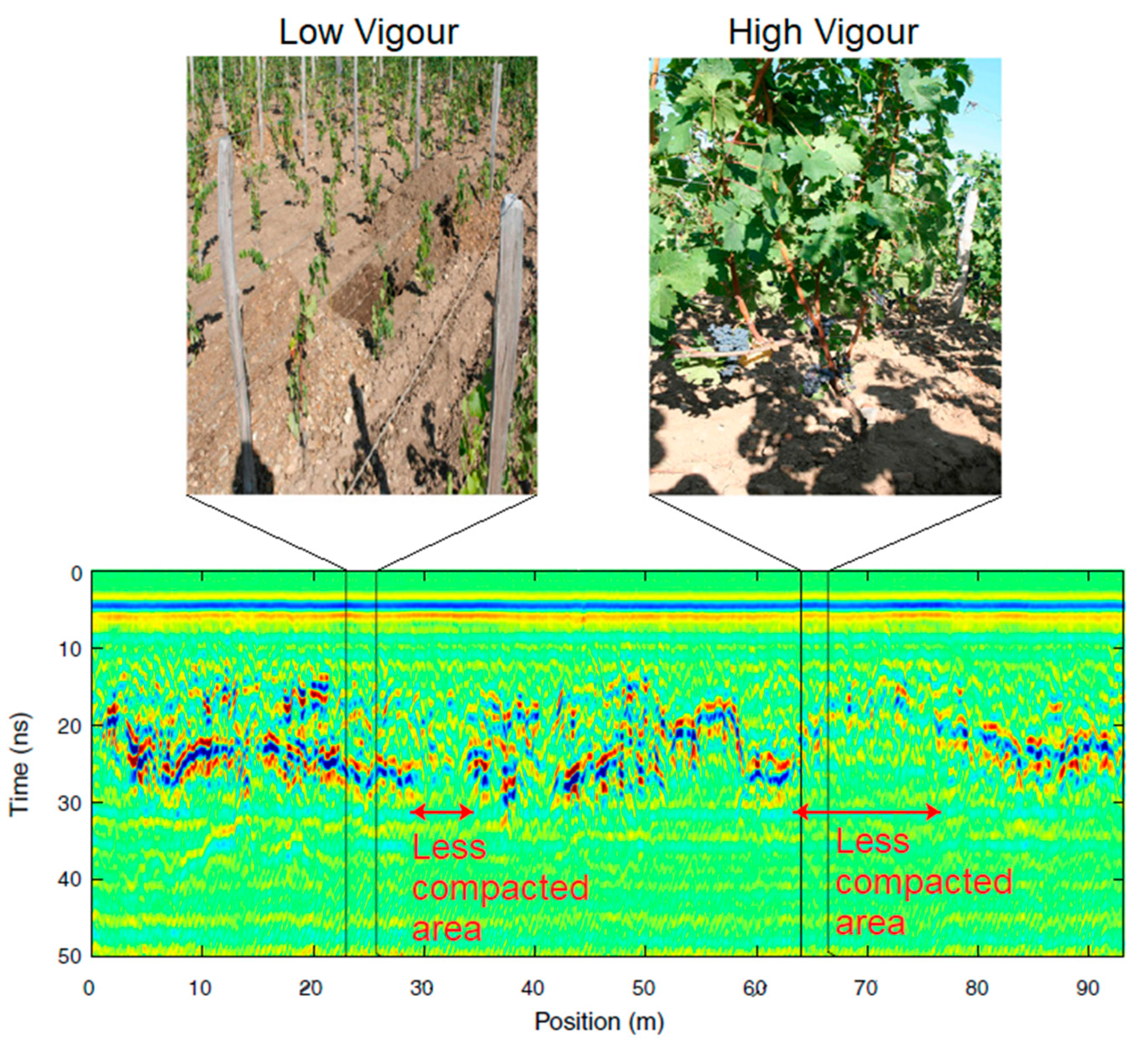 Agriculture 15 00852 g012