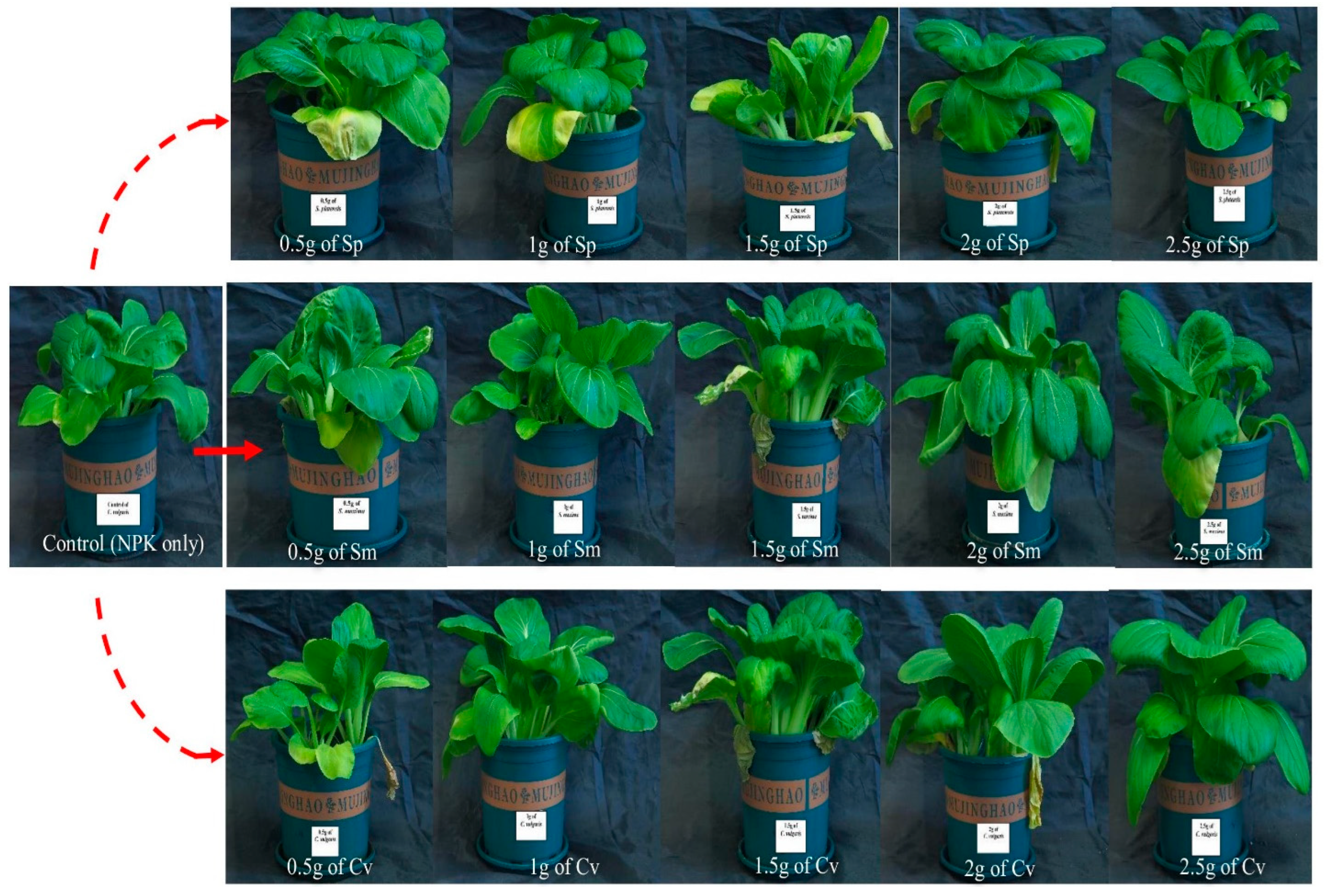 Agriculture 15 00863 g002