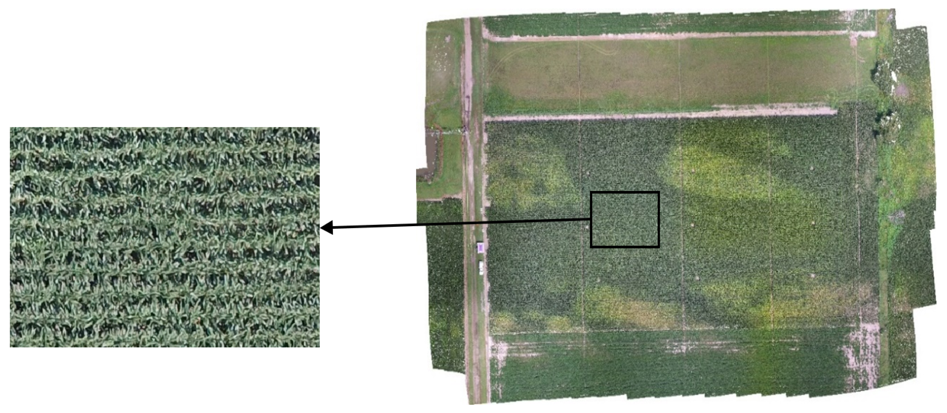 Agriculture 15 00882 g003