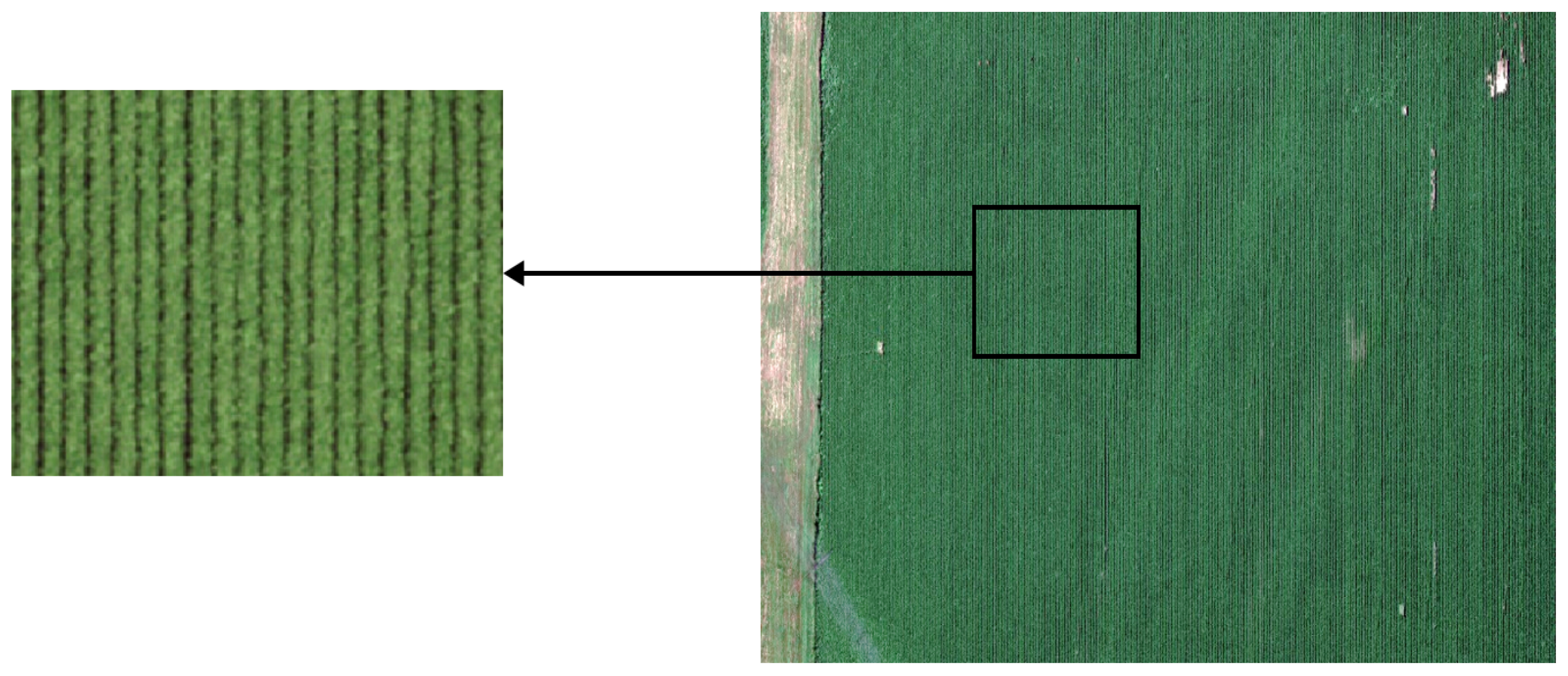 Agriculture 15 00882 g004