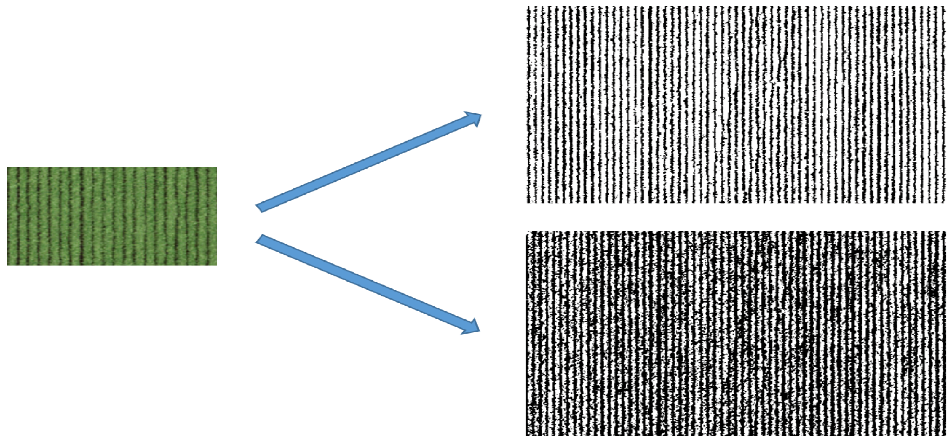 Agriculture 15 00882 g005