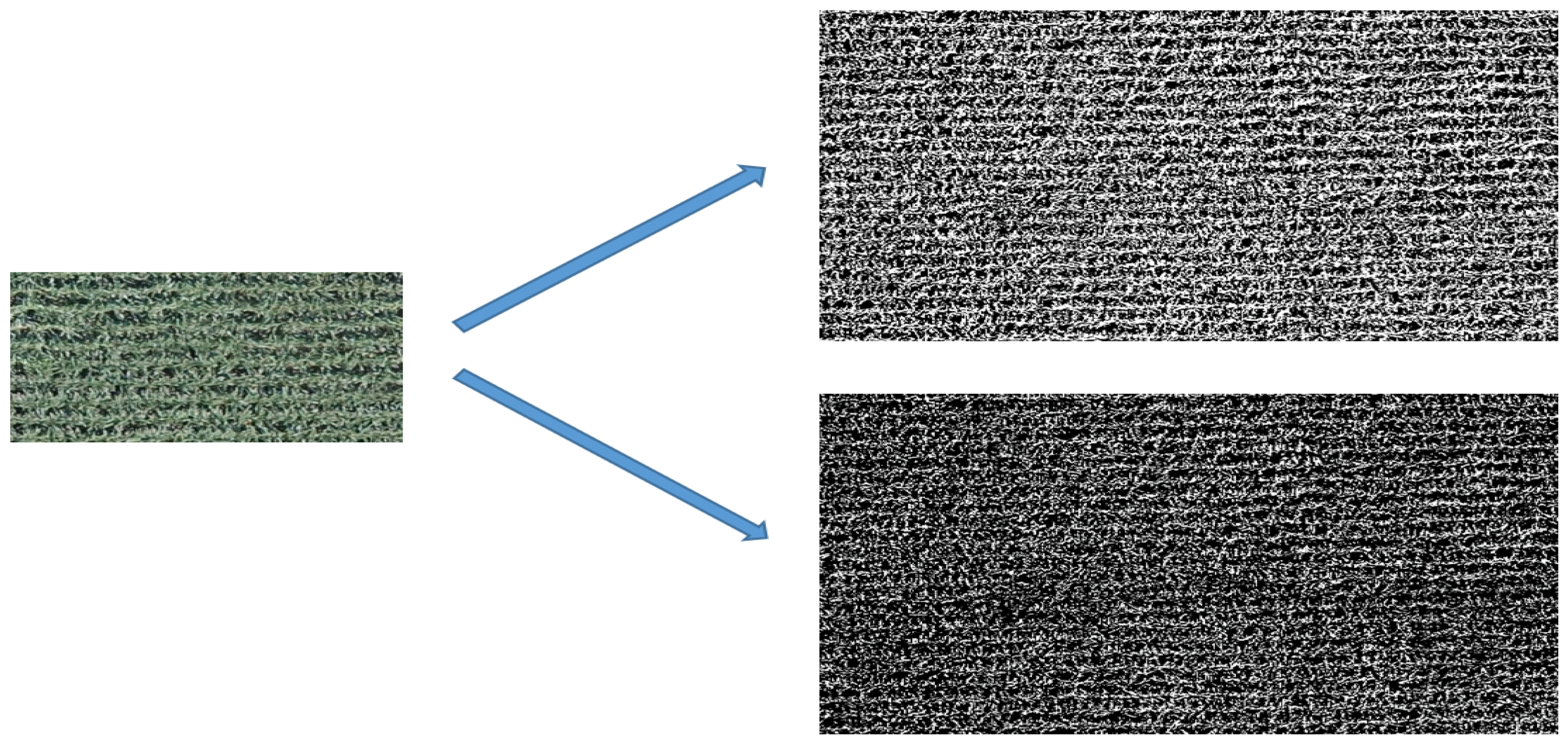 Agriculture 15 00882 g006