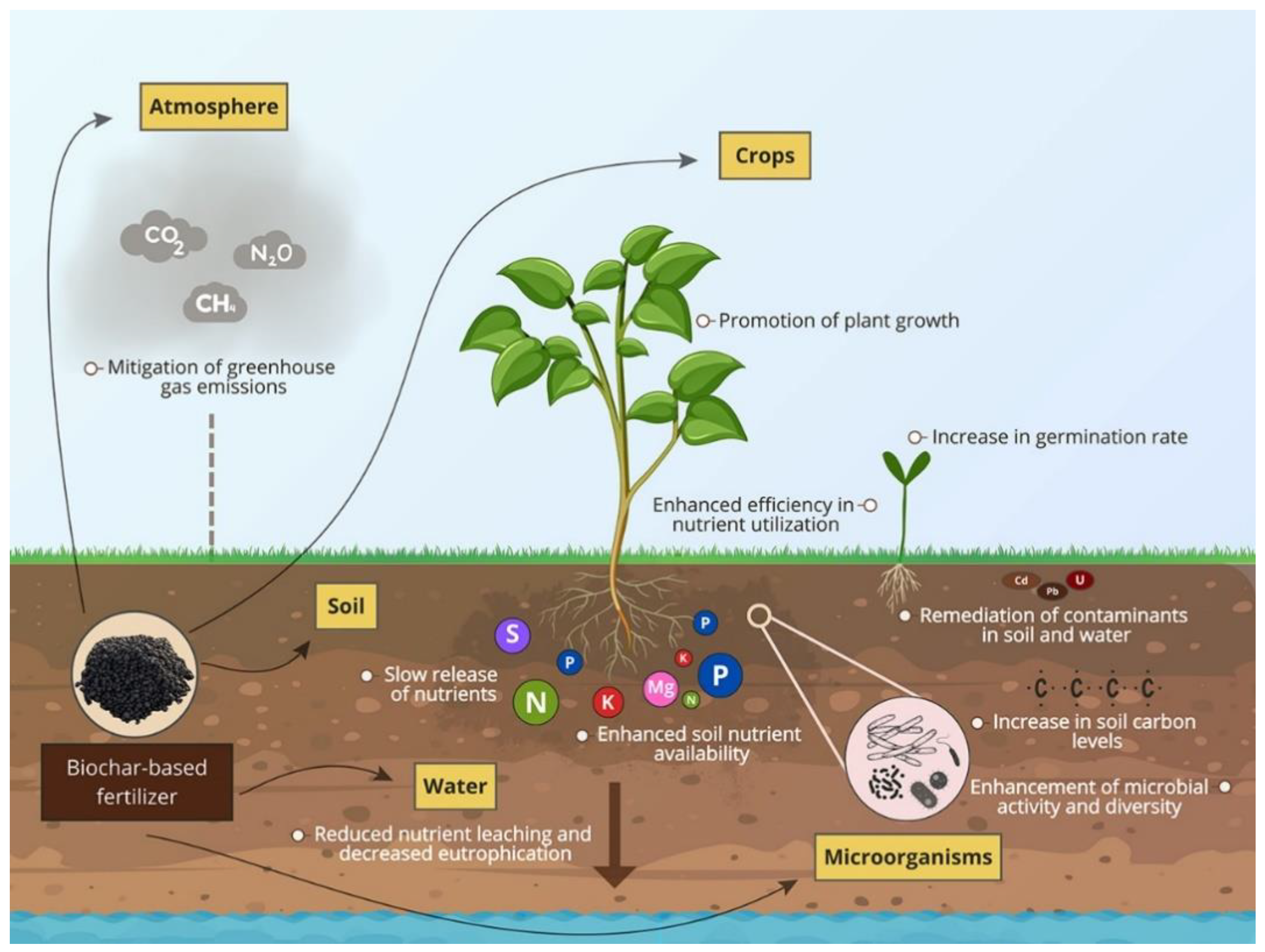 Agriculture 15 00894 g004