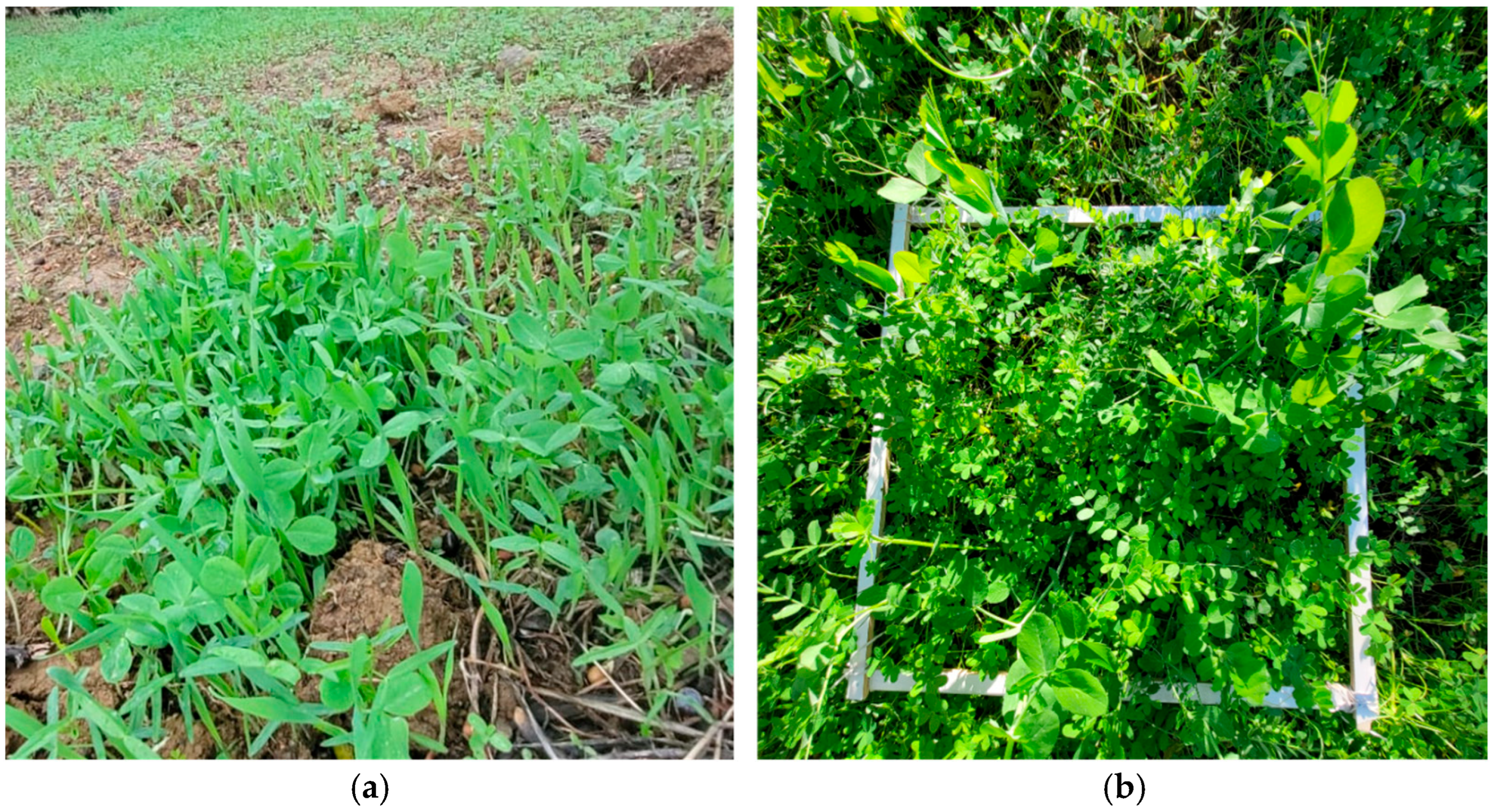 Agriculture 15 00898 g003