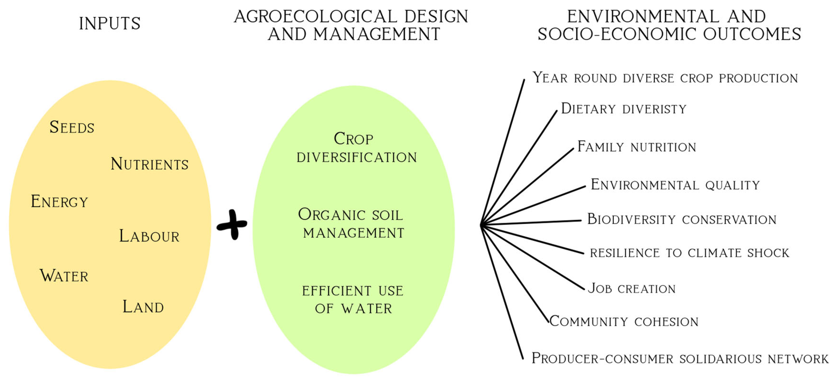 Agriculture 15 00909 g001