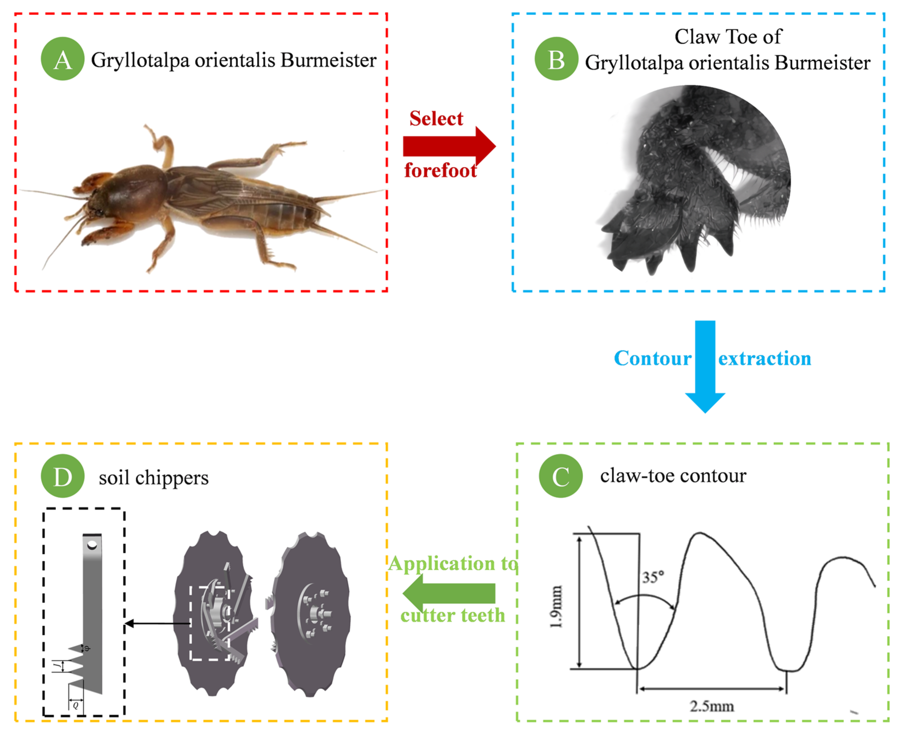 Agriculture 15 00944 g004