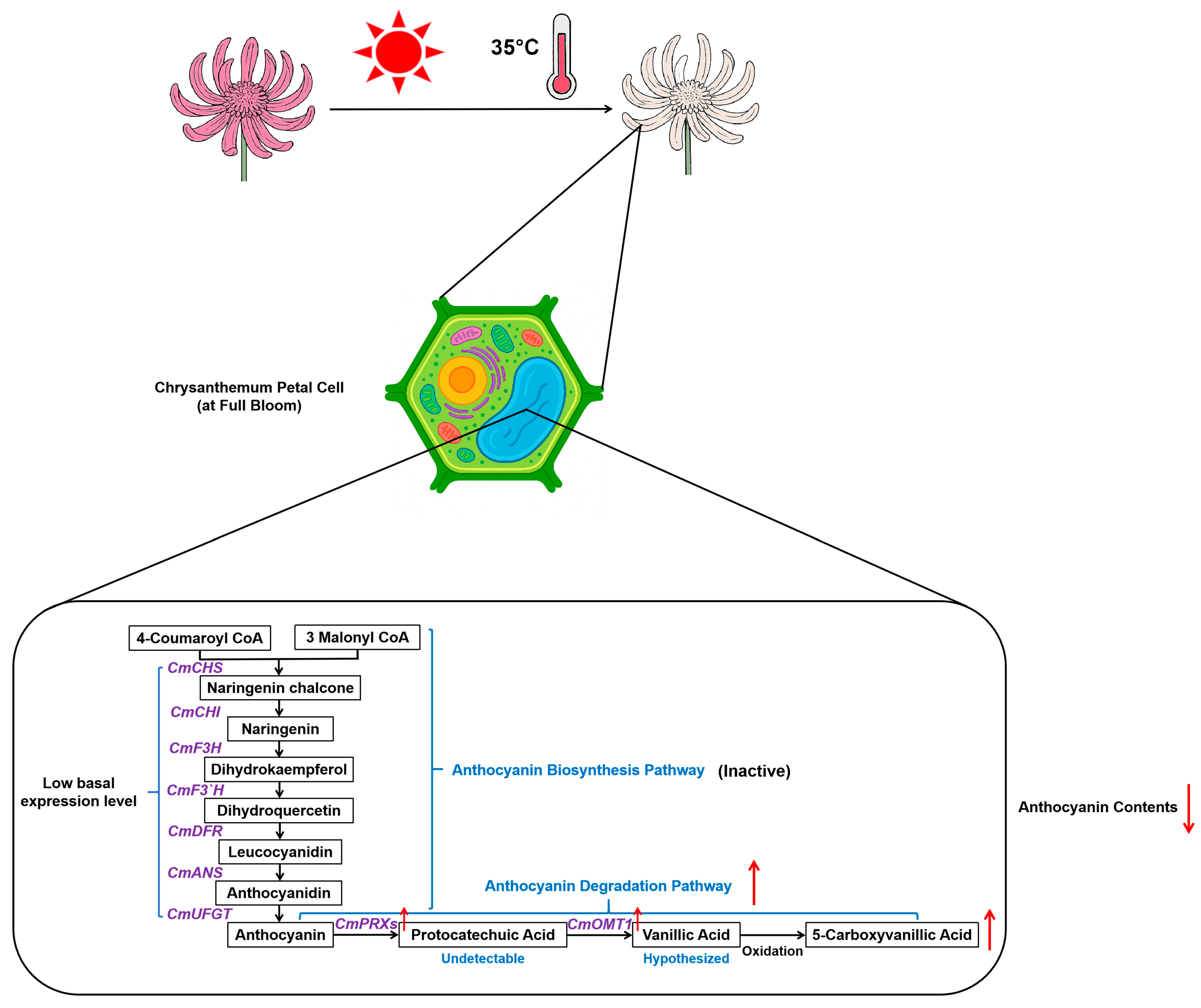 Agriculture 15 00950 g009