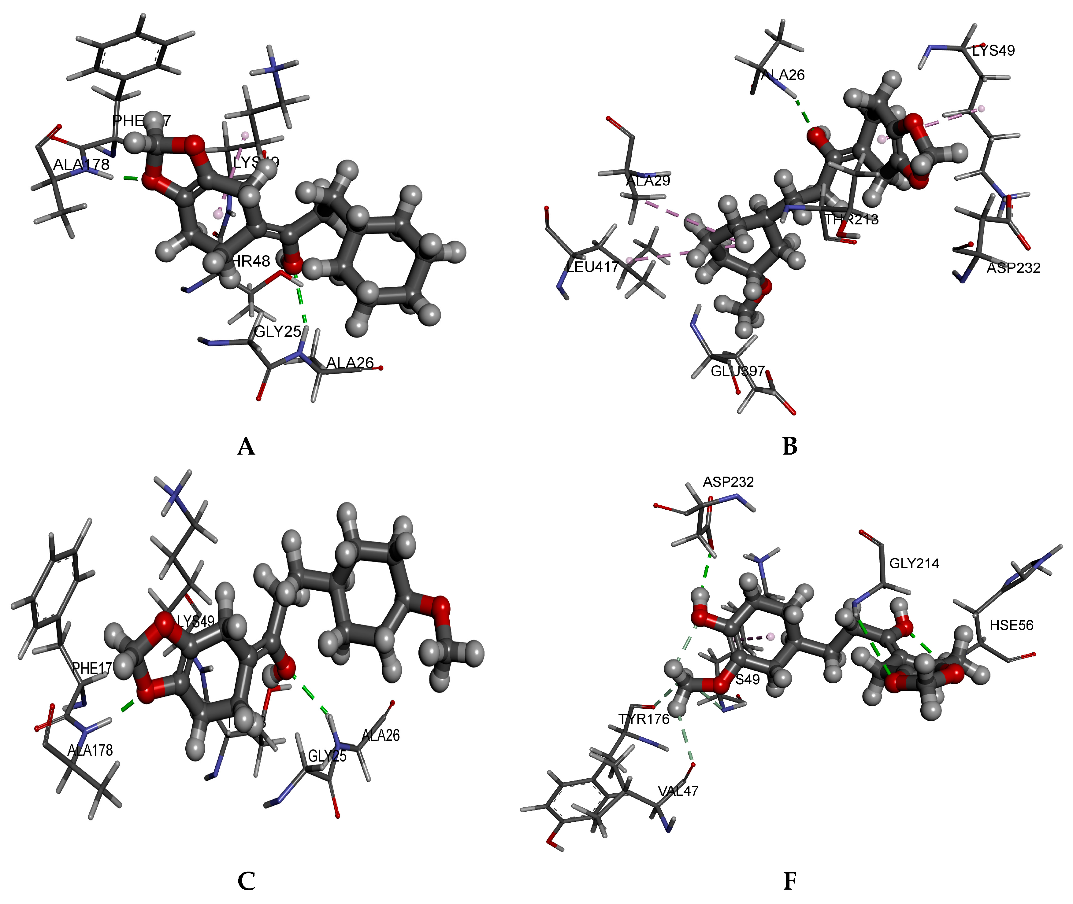 Agriculture 15 00983 g001
