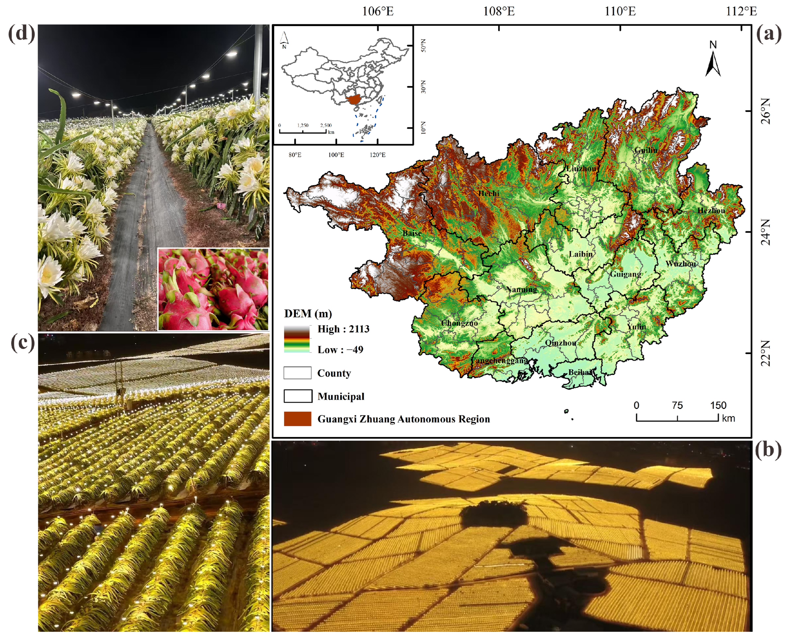 Agriculture 15 01014 g001