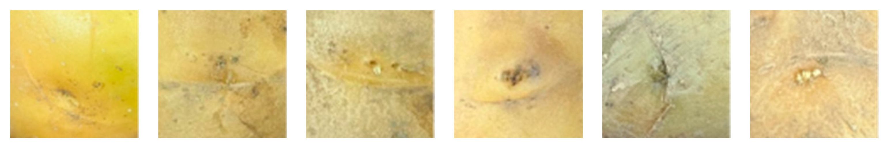 Agriculture 15 01015 g004