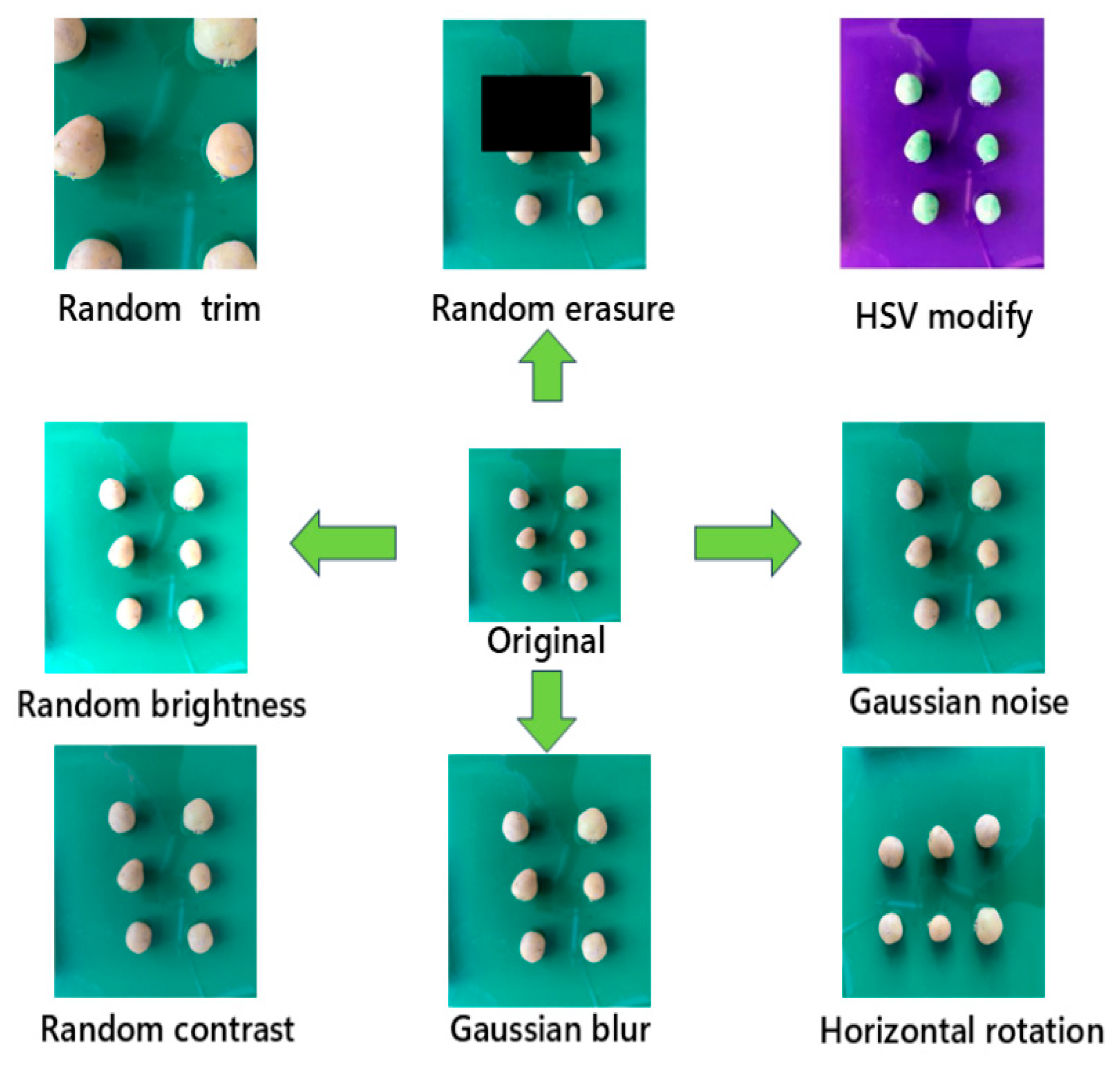 Agriculture 15 01015 g005