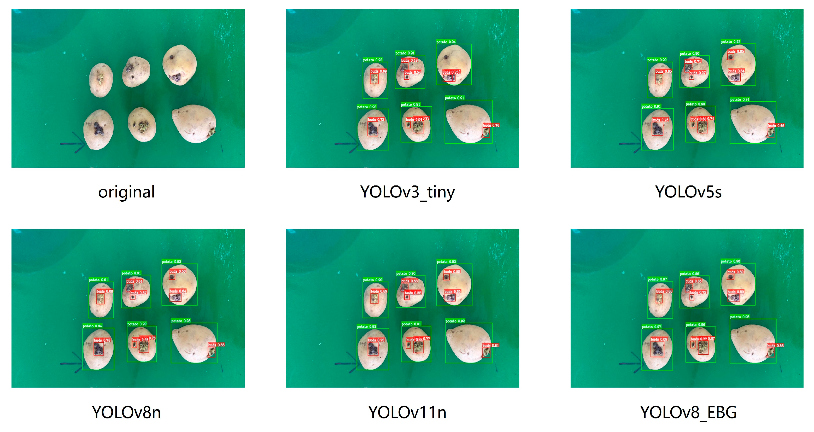 Agriculture 15 01015 g015