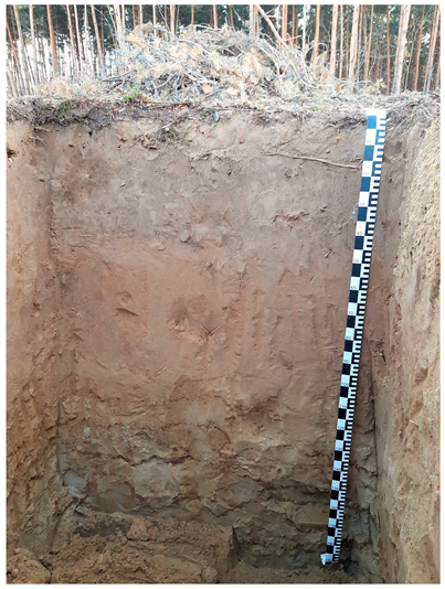 Agriculture 15 01030 i001