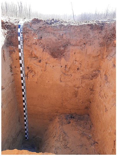 Agriculture 15 01030 i004