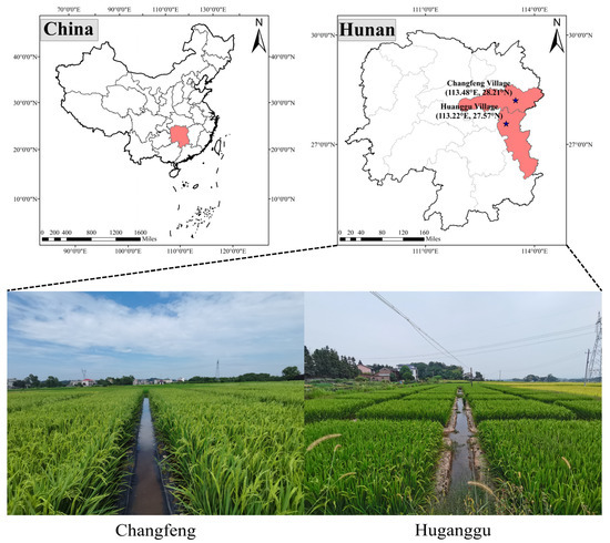 Agriculture 15 01052 g001